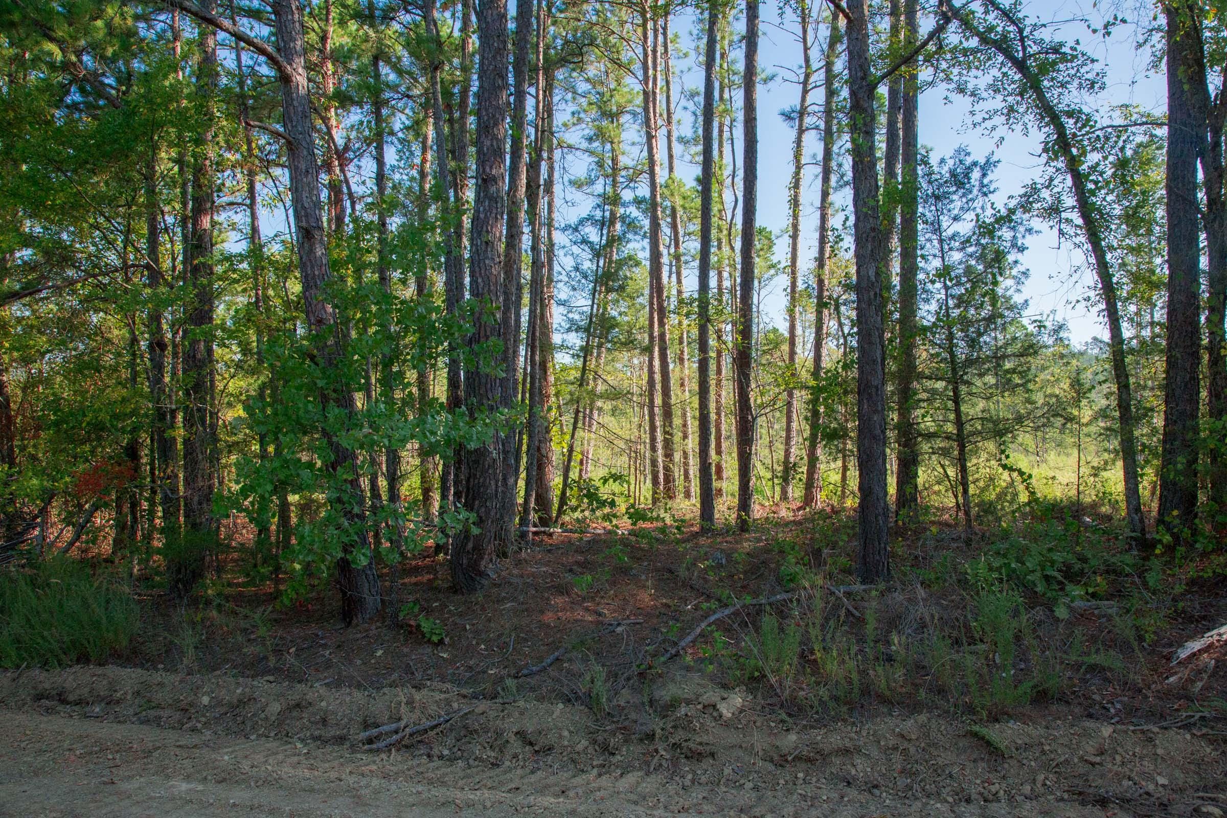 Stone Creek Phase II Tract 271 photo 11