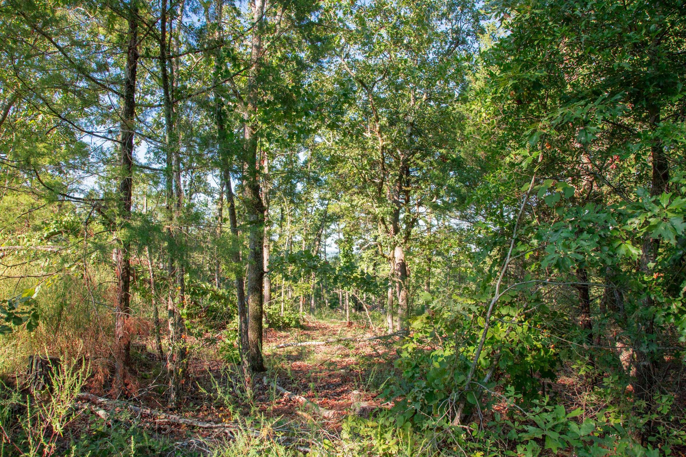 Stone Creek Phase II Tract 271 photo 12