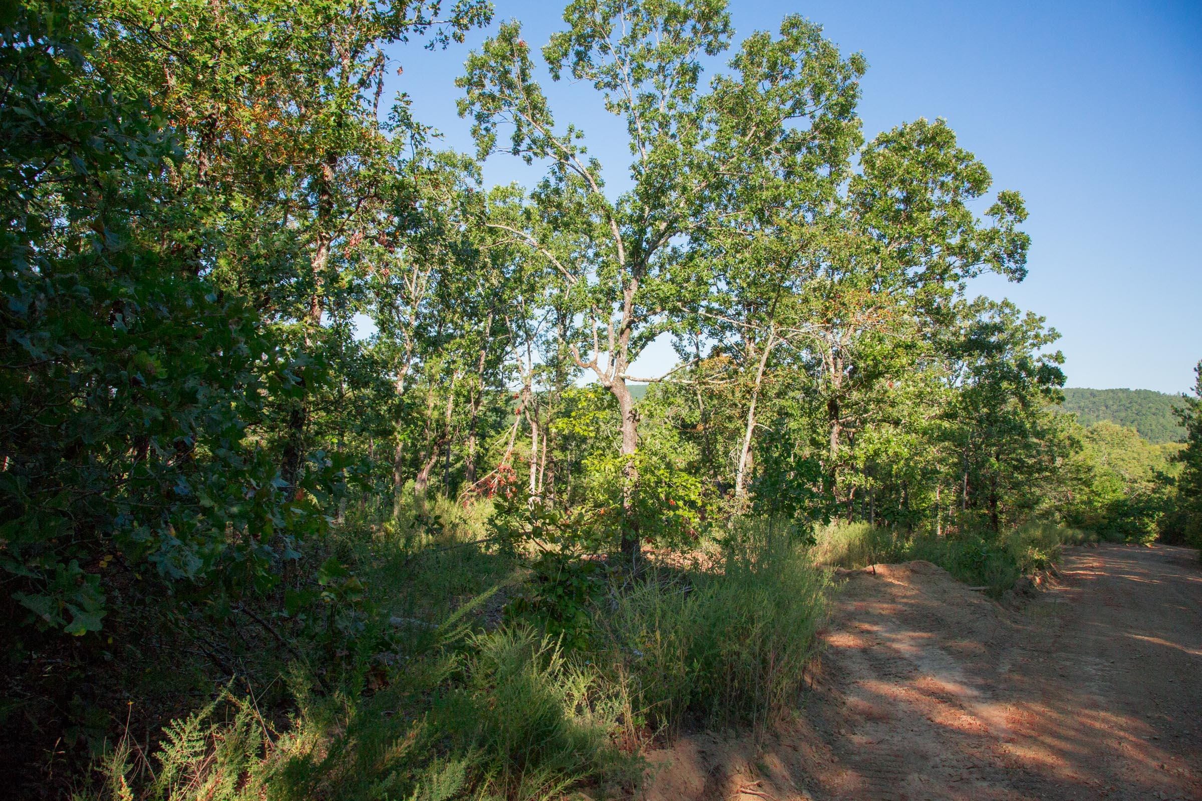 Stone Creek Phase II Tract 271 photo 13