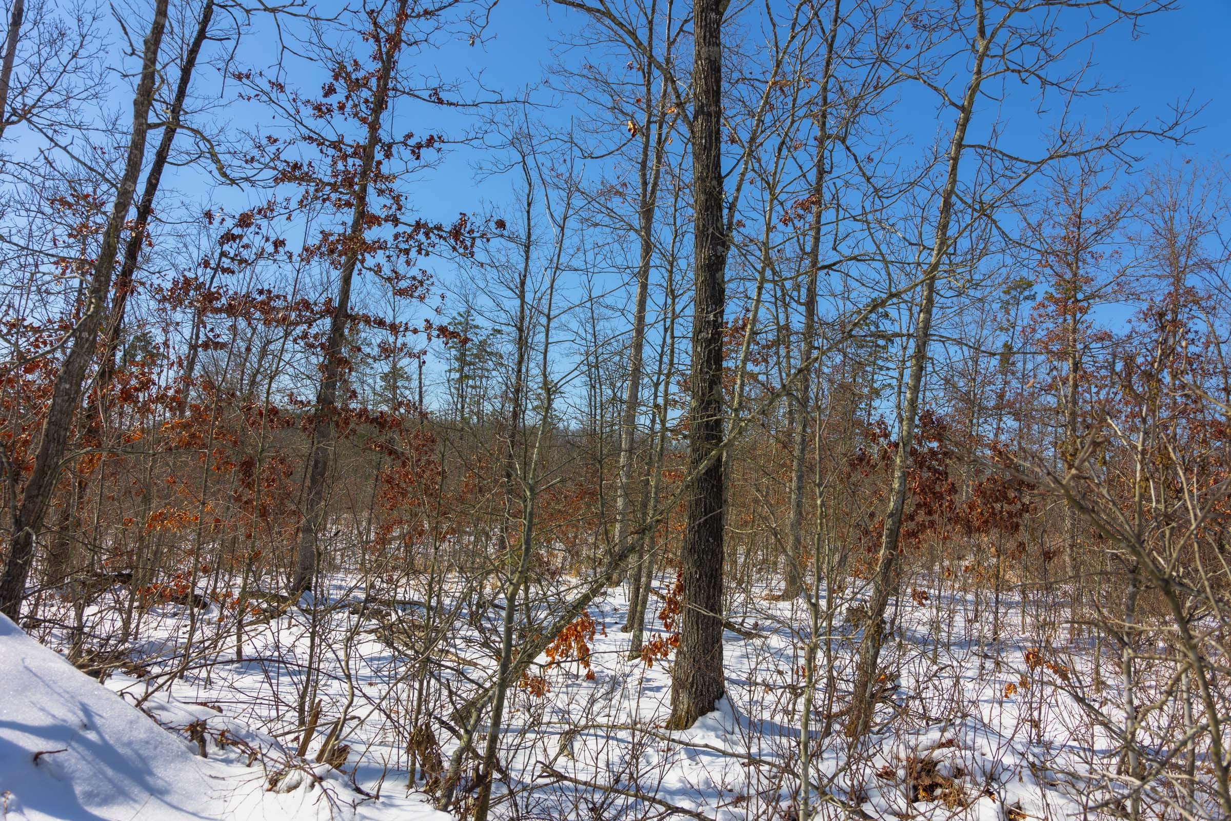 Sleepy Hollow Phase I Tract 3 photo 8