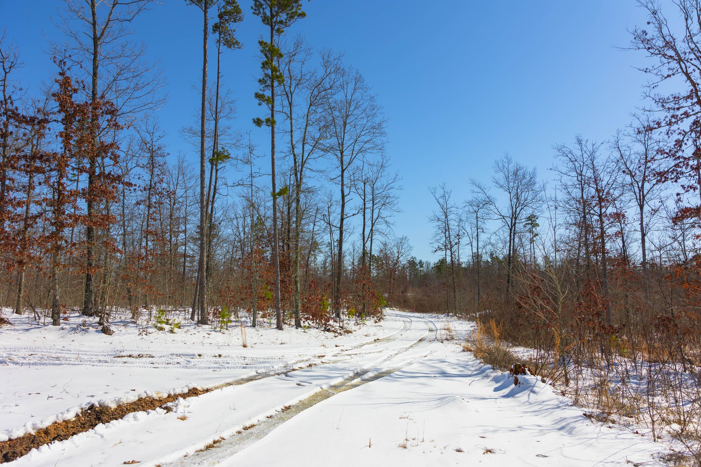 Sleepy Hollow Phase I Tract 3 photo 9