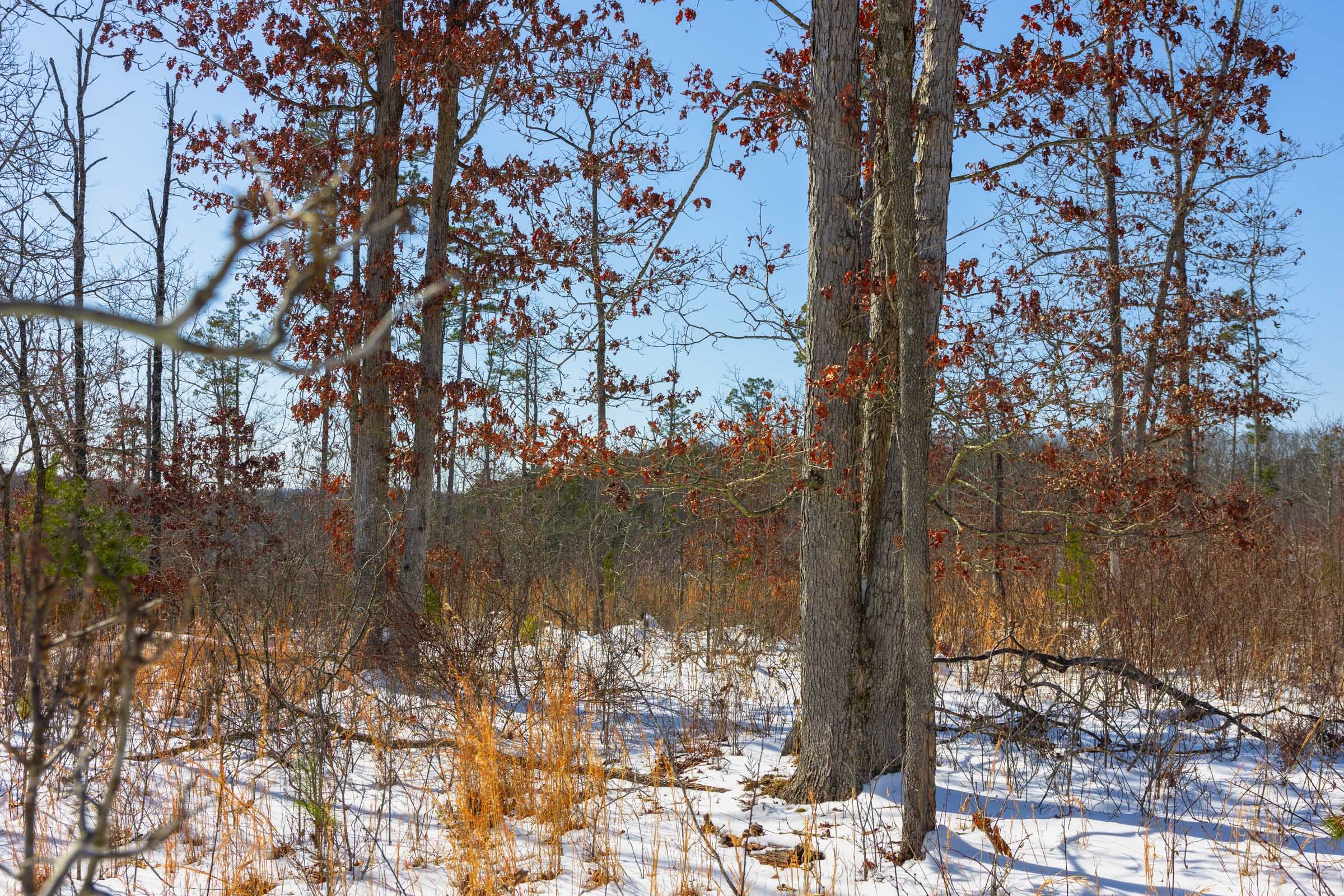 Sleepy Hollow Phase I Tract 3 photo 6
