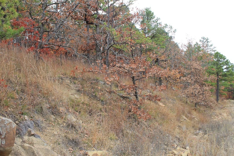 Indian Ridge – Phase I Tract 16 photo 3