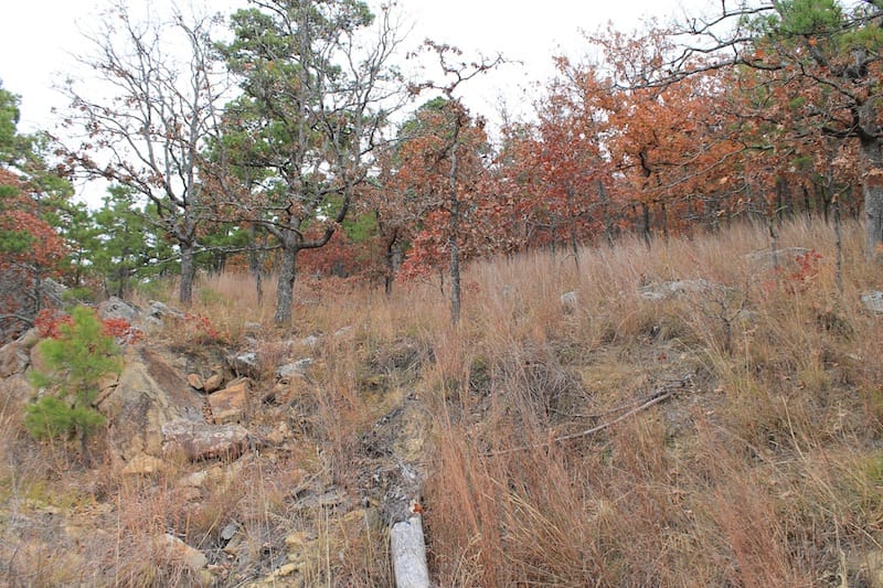Indian Ridge – Phase I Tract 16 photo 4