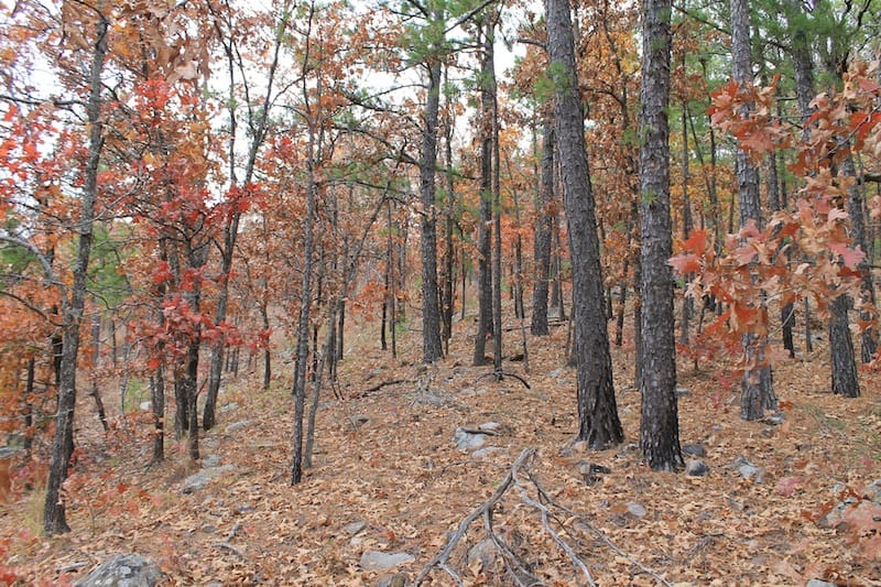 Indian Ridge – Phase I Tract 16 photo 5
