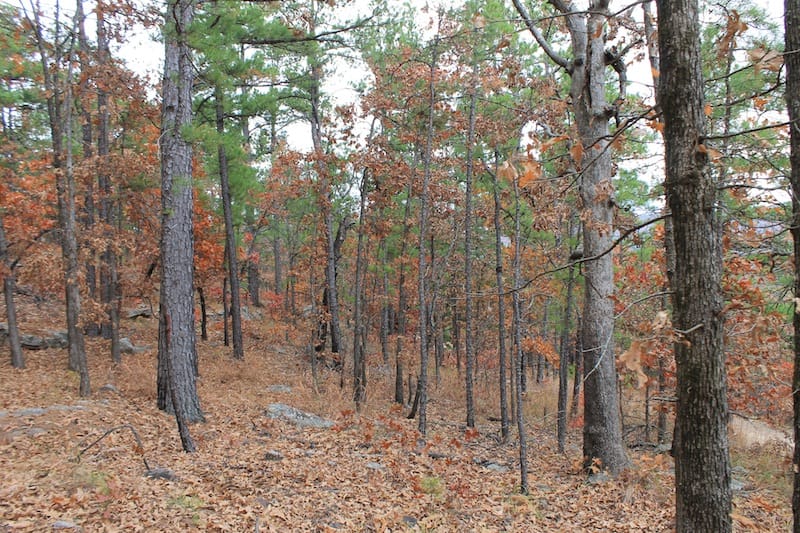 Indian Ridge – Phase I Tract 16 photo 6