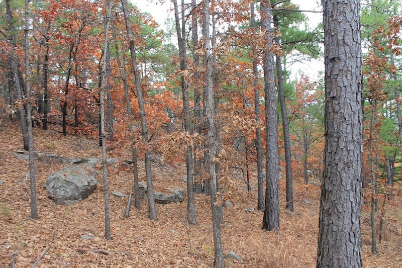 Indian Ridge – Phase I Tract 16 photo 7