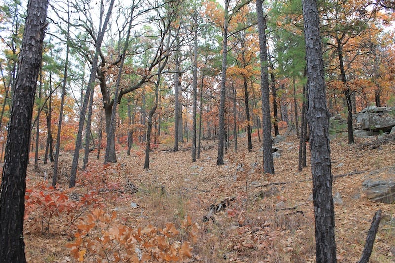 Indian Ridge – Phase I Tract 16 photo 9