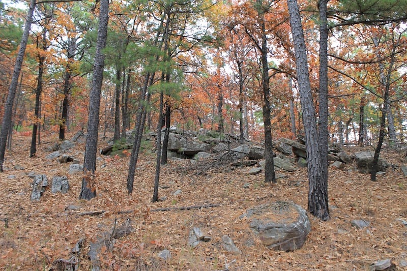 Indian Ridge – Phase I Tract 16 photo 10