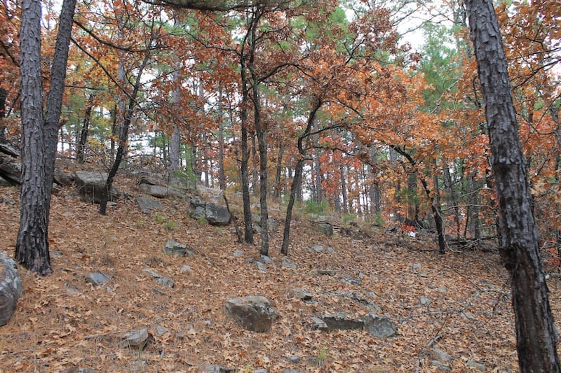 Indian Ridge – Phase I Tract 16 photo 11