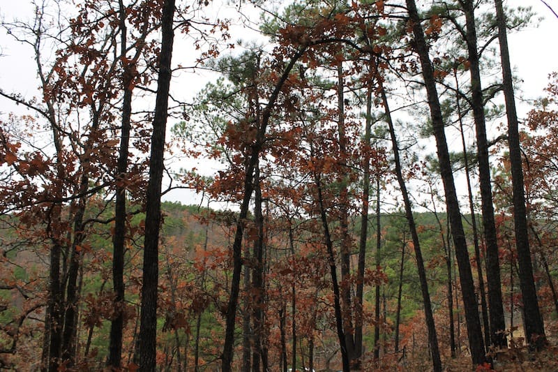 Indian Ridge – Phase I Tract 16 photo 13