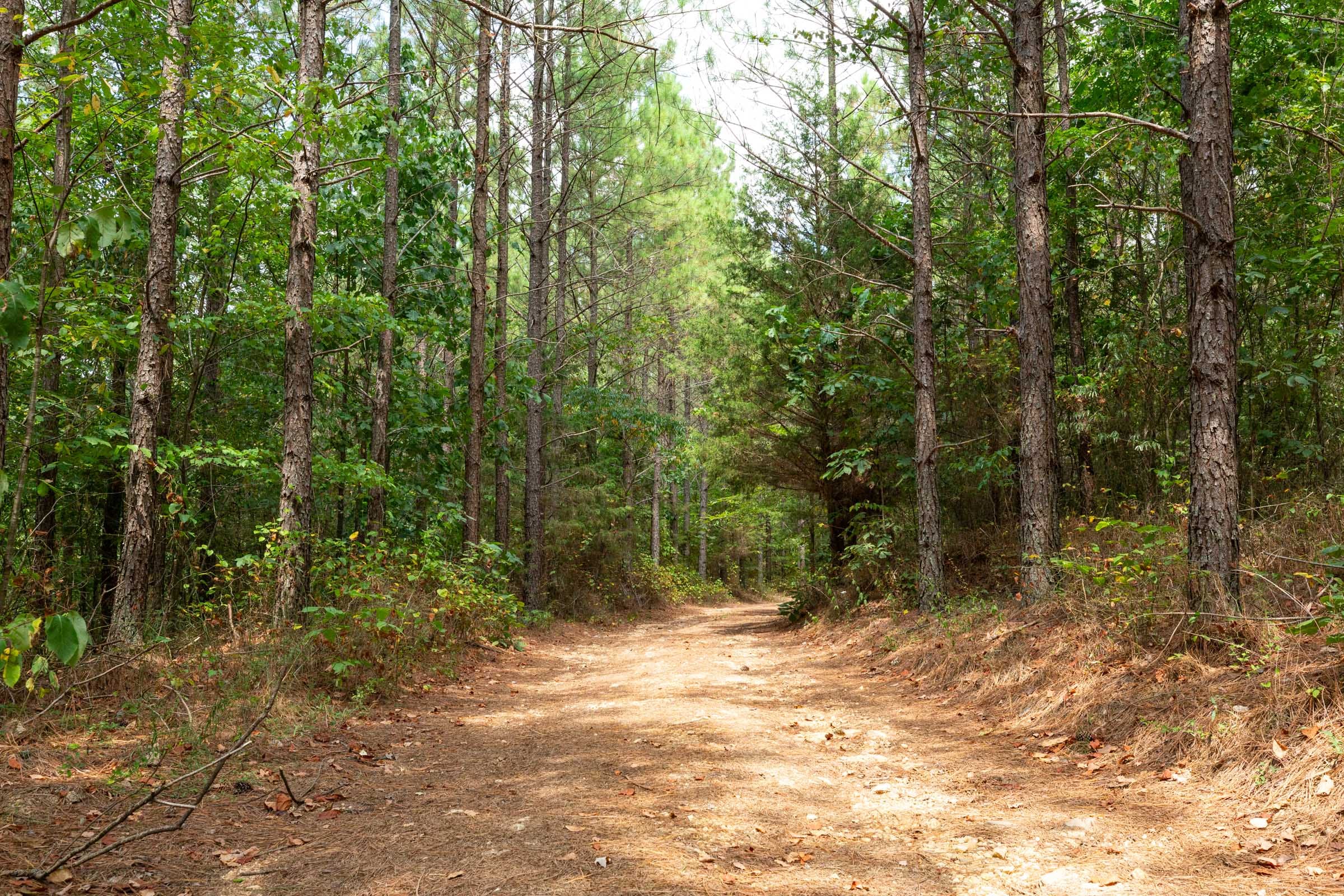 Harvest Ridge Tract 1 photo 4