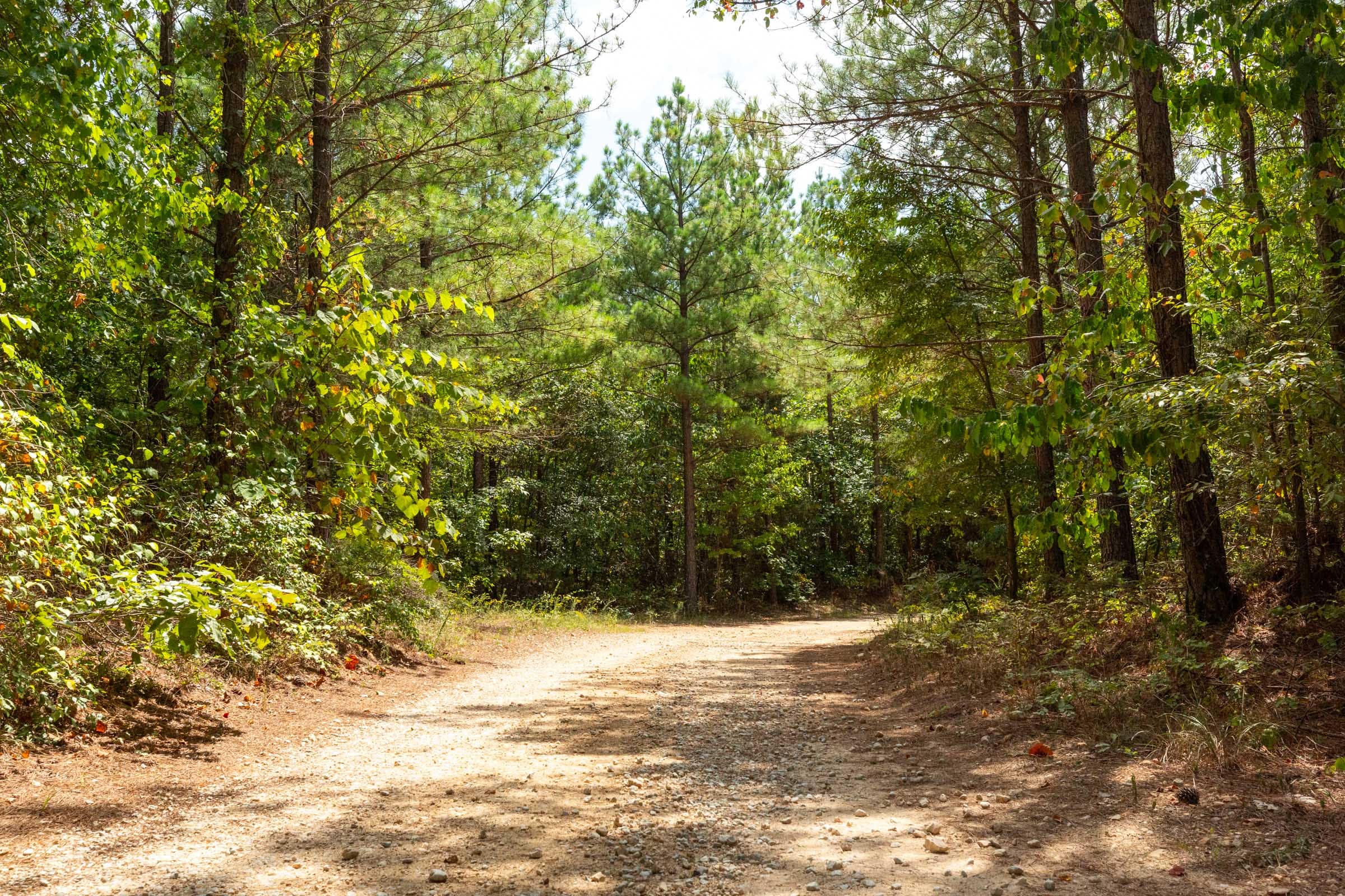 Harvest Ridge Tract 1 photo 1