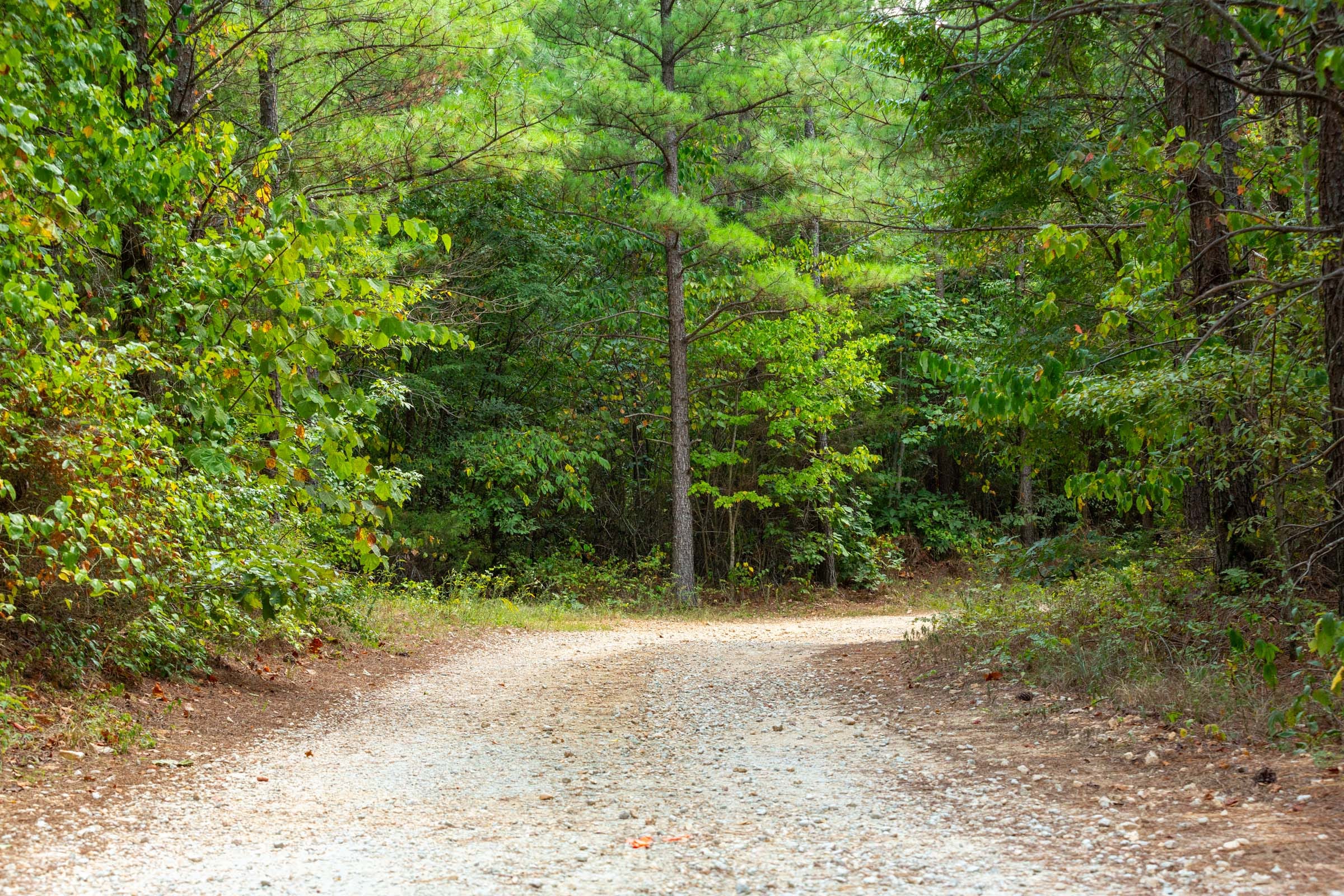 Harvest Ridge Tract 1 photo 12