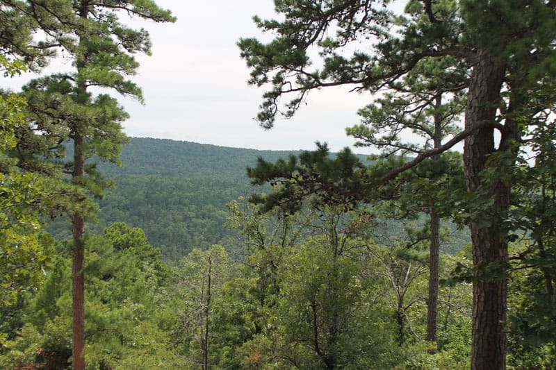 Trophy Ridge Phase III Tract 32 photo 3