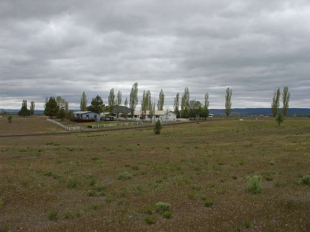 California Pines Tract 61 photo 16