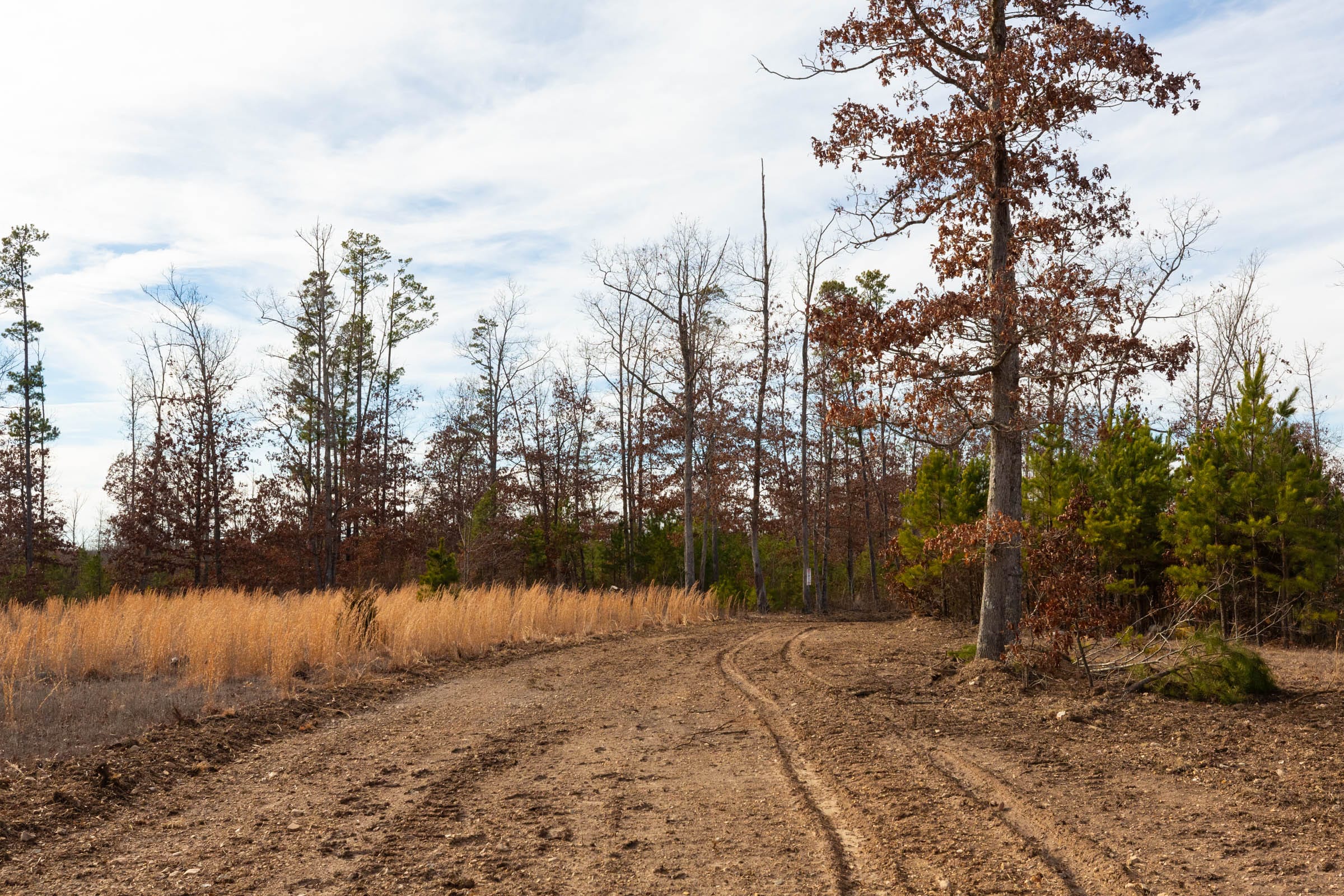 Windy Ridge Tract 3 photo 5