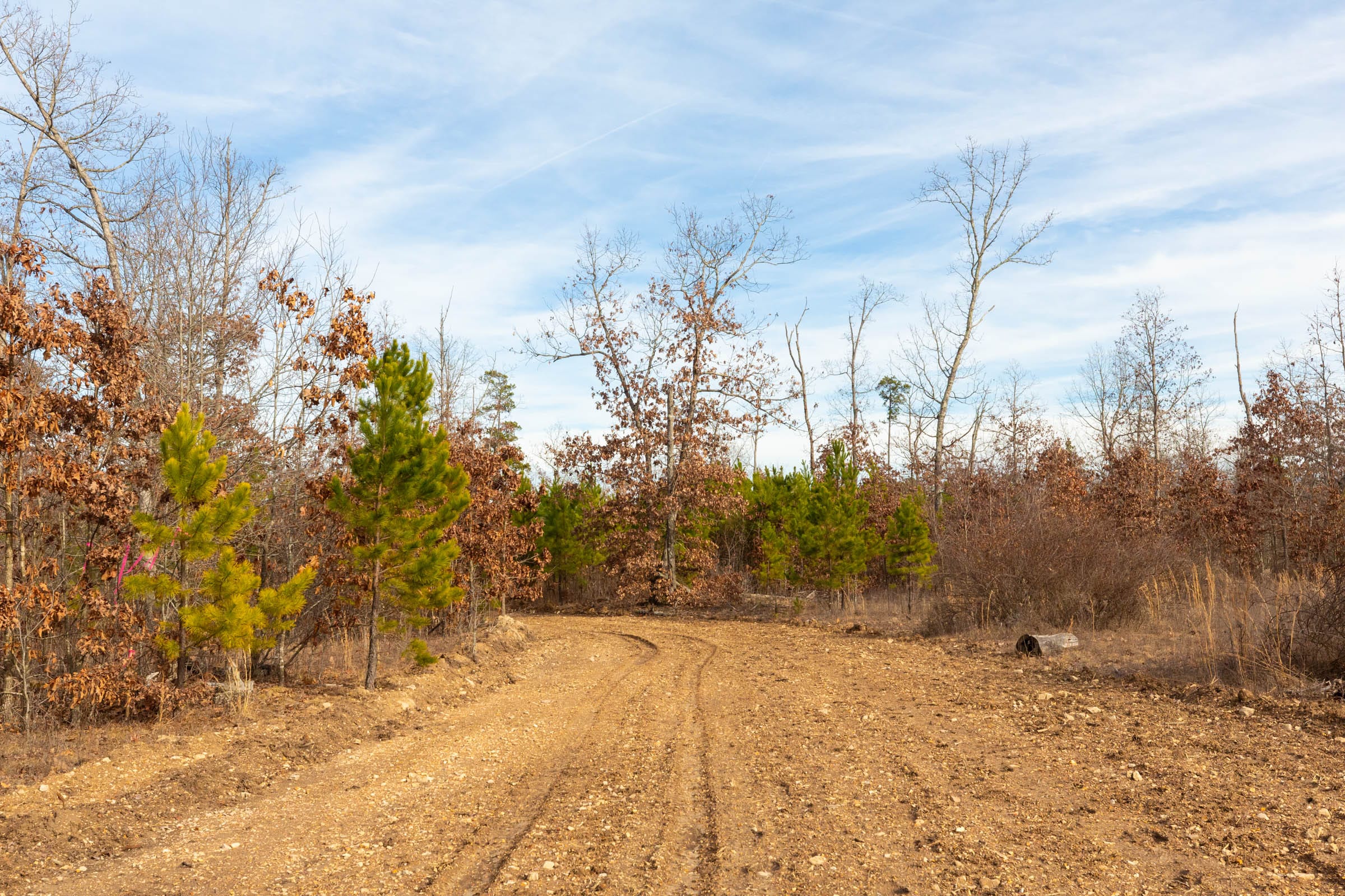 Windy Ridge Tract 3 photo 1