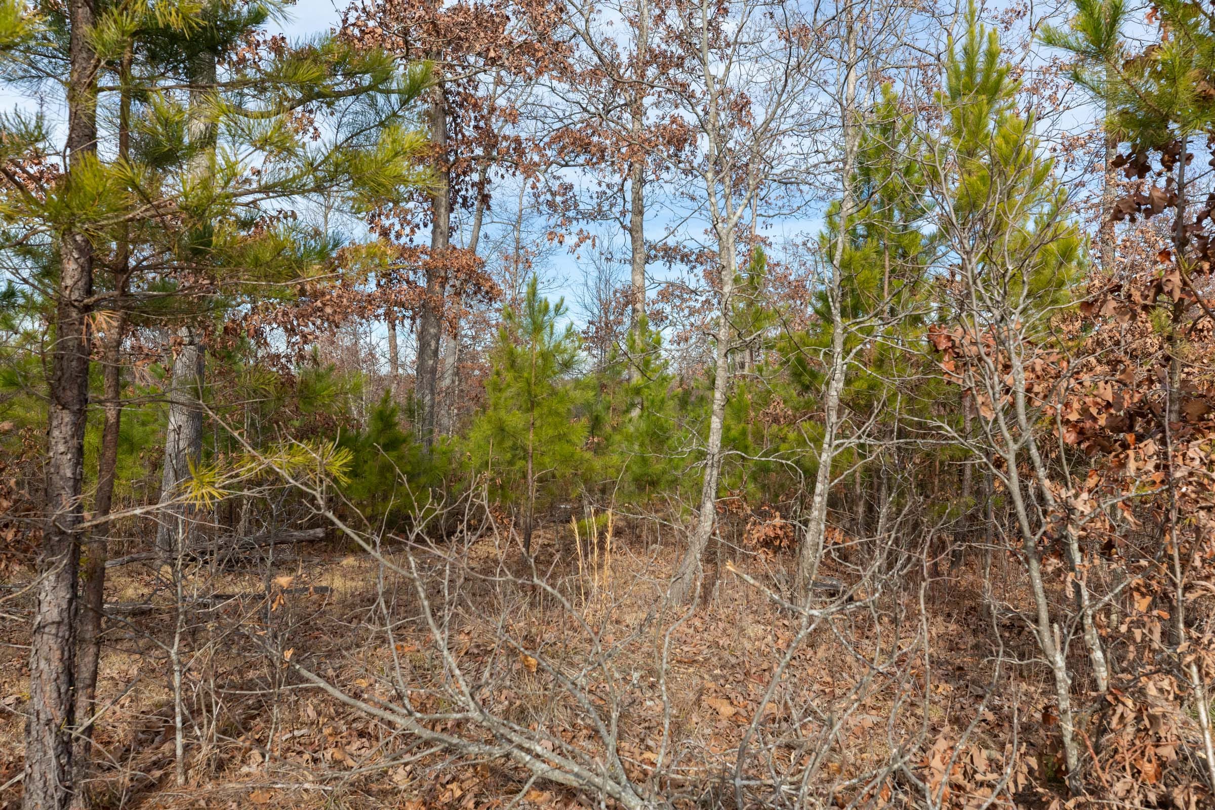 Windy Ridge Tract 3 photo 3