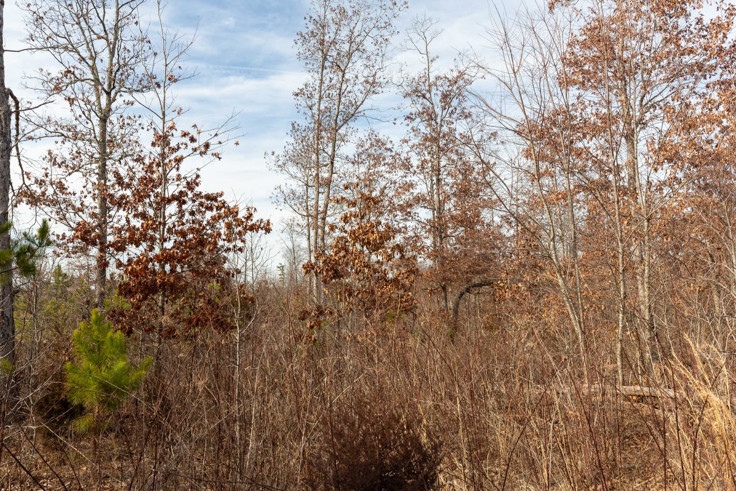 Windy Ridge Tract 3 photo 9