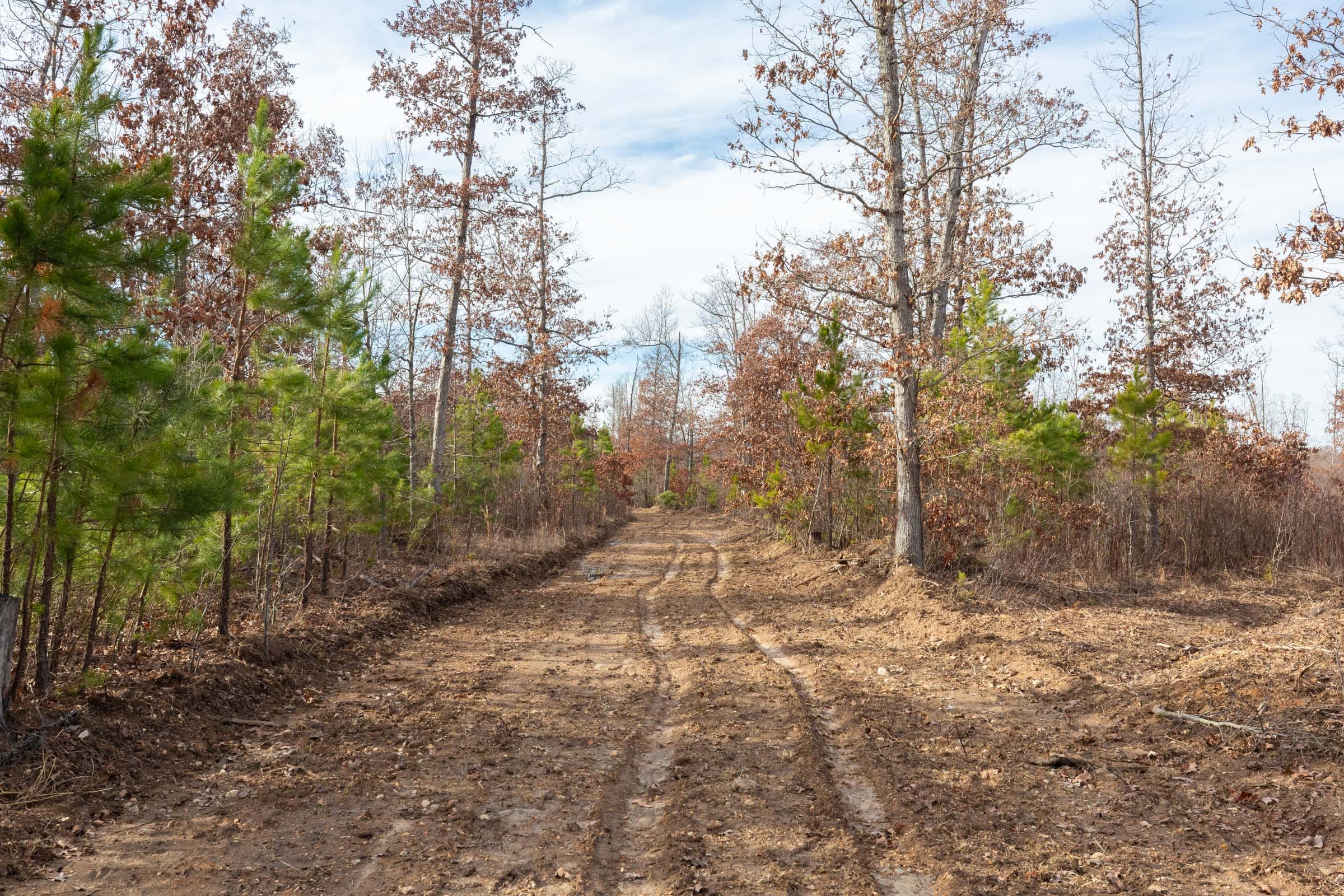 Windy Ridge Tract 3 photo 14