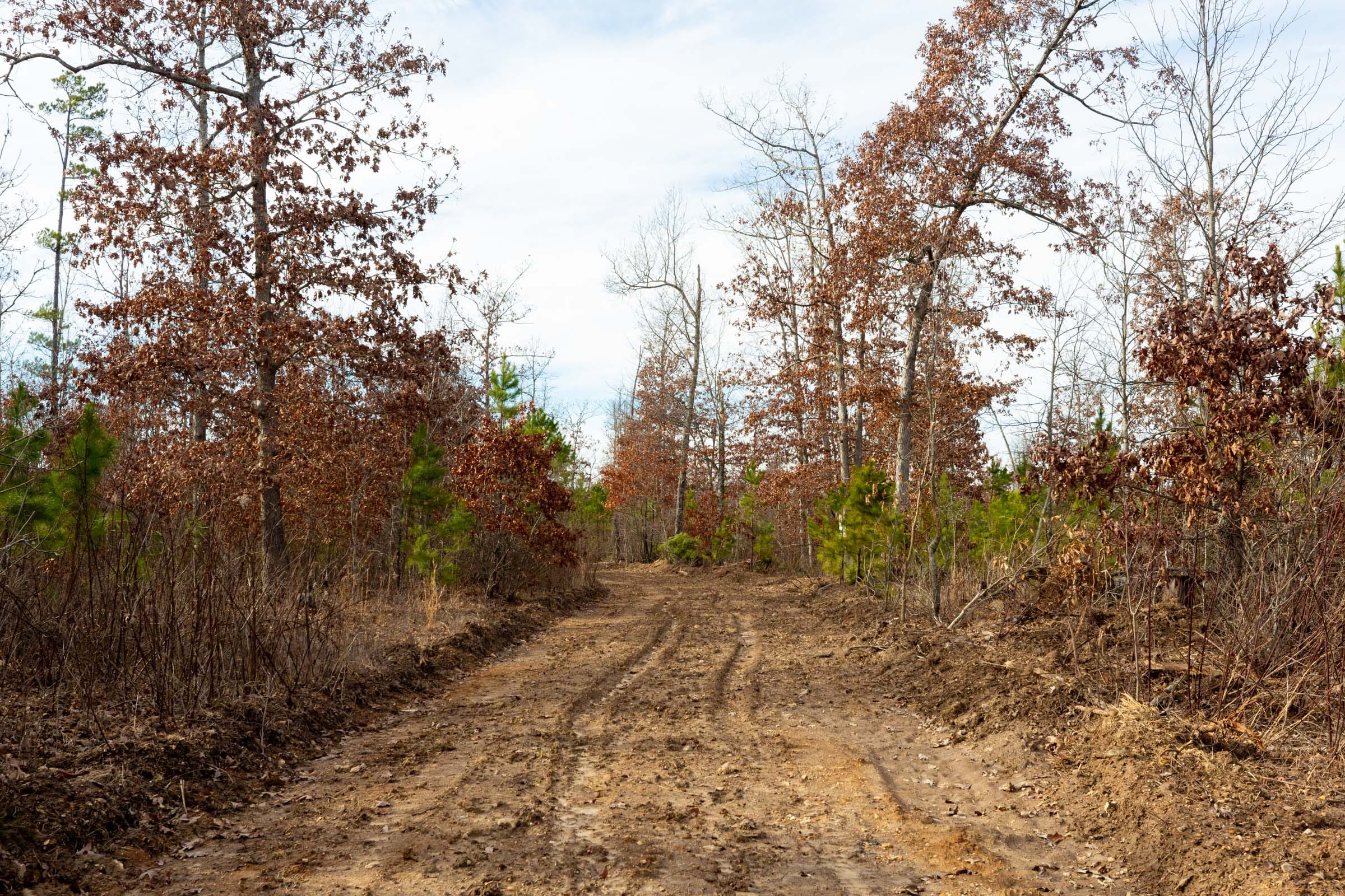 Windy Ridge Tract 3 photo 10