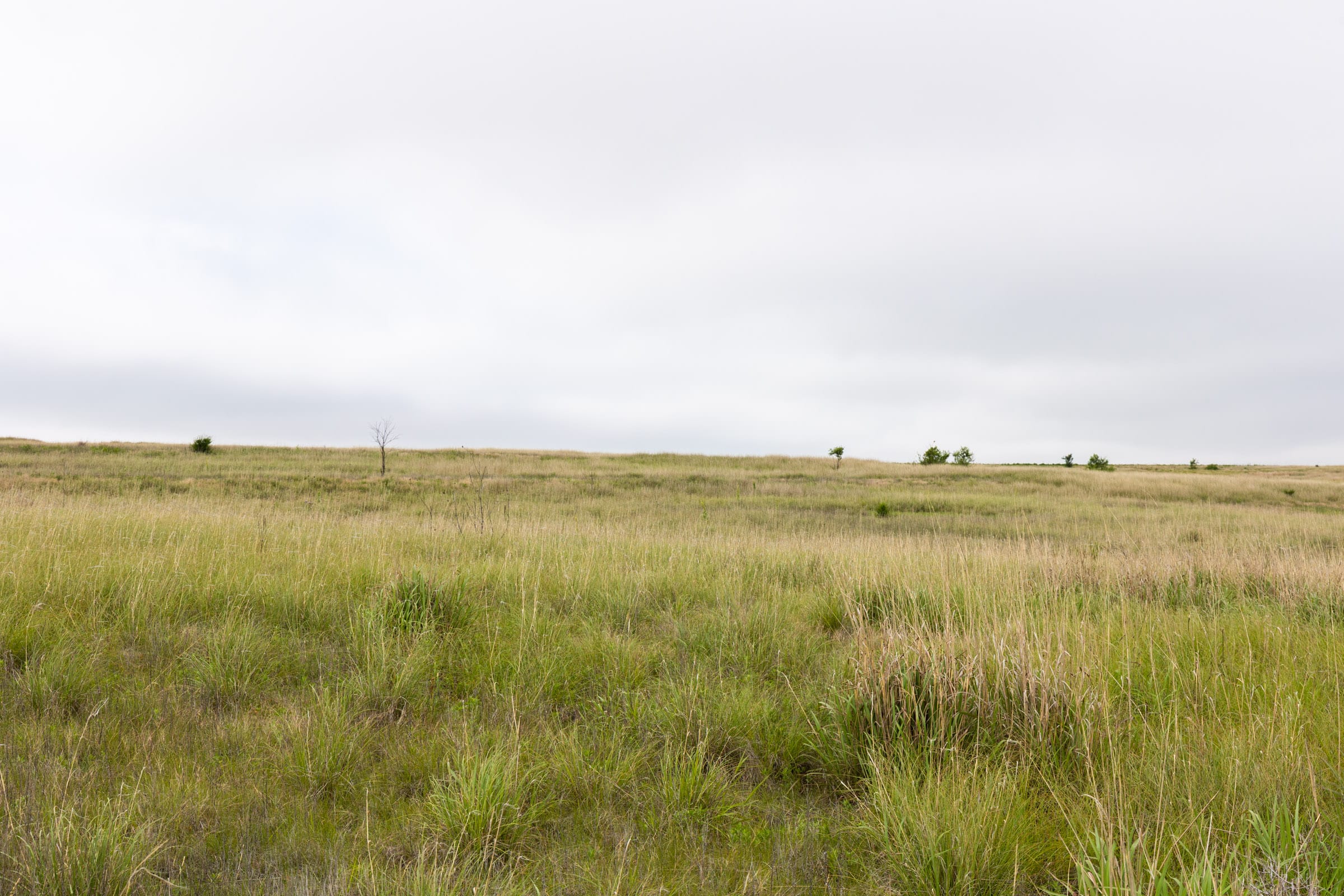 Crandall's Corner Tract 12 photo 5