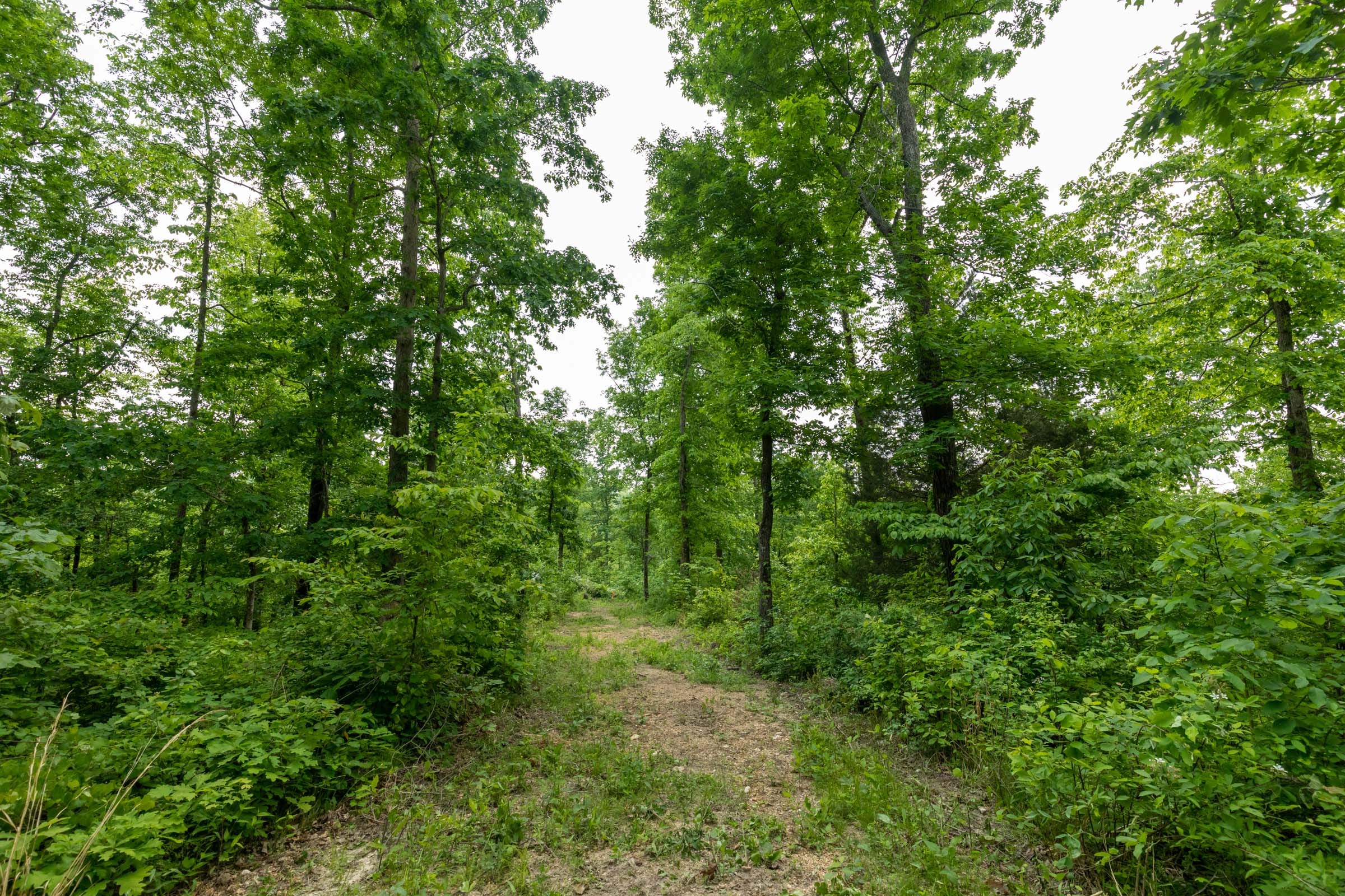 Cedar Creek Tract 18 photo 6