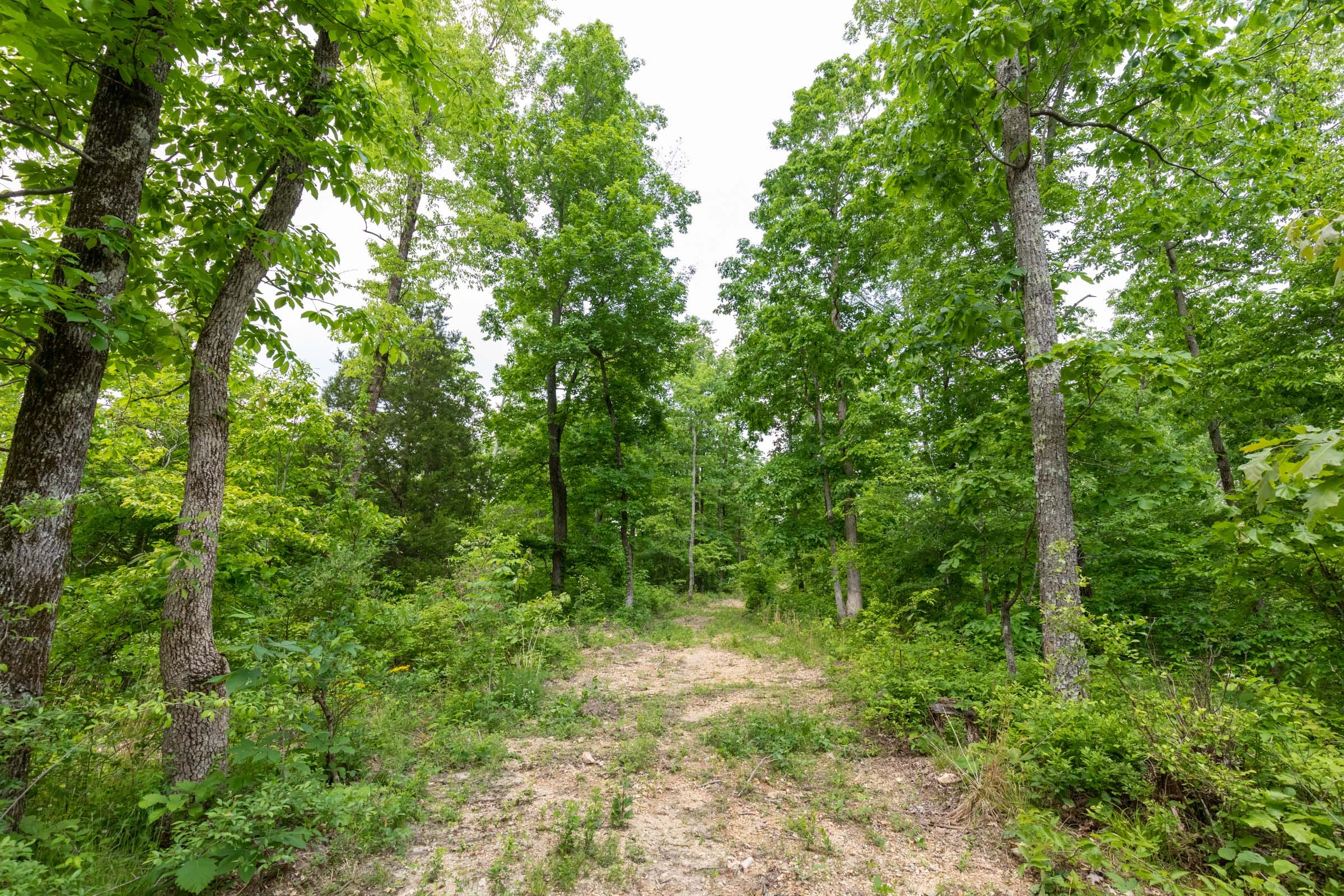 Cedar Creek Tract 18 photo 1