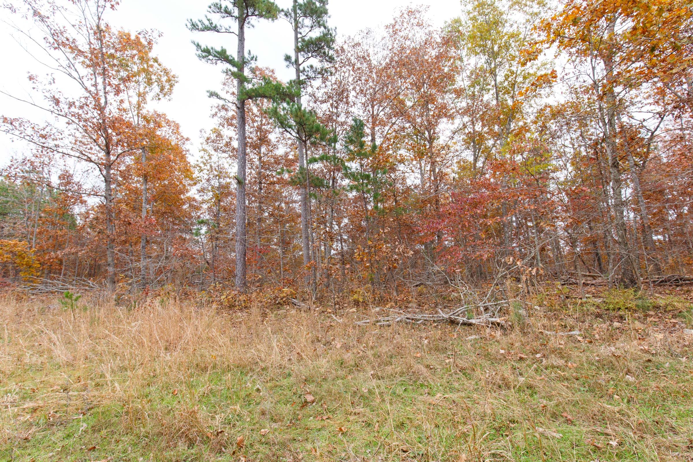 Hawkcrest Tract 52 photo 3