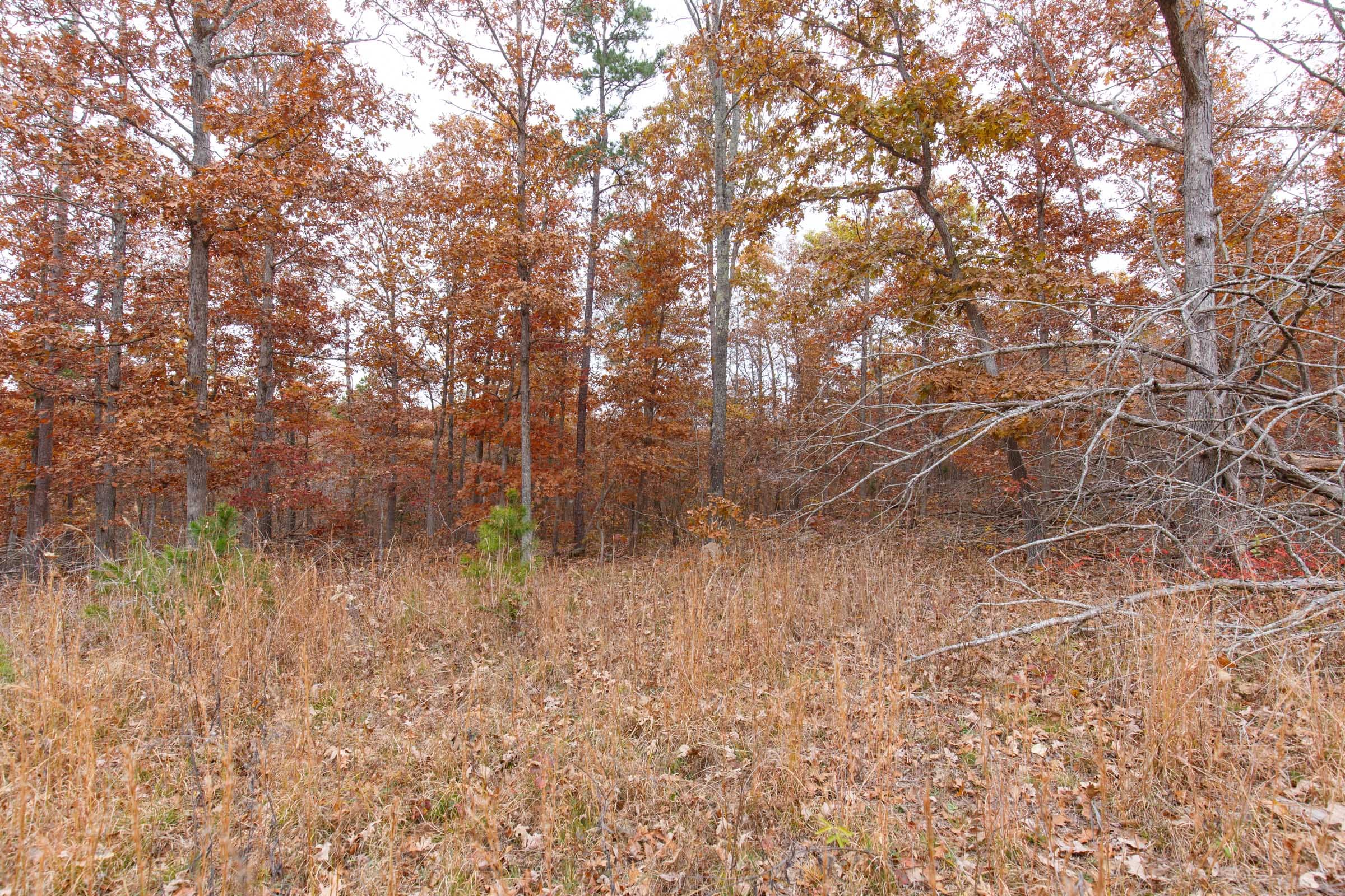 Hawkcrest Tract 52 photo 2
