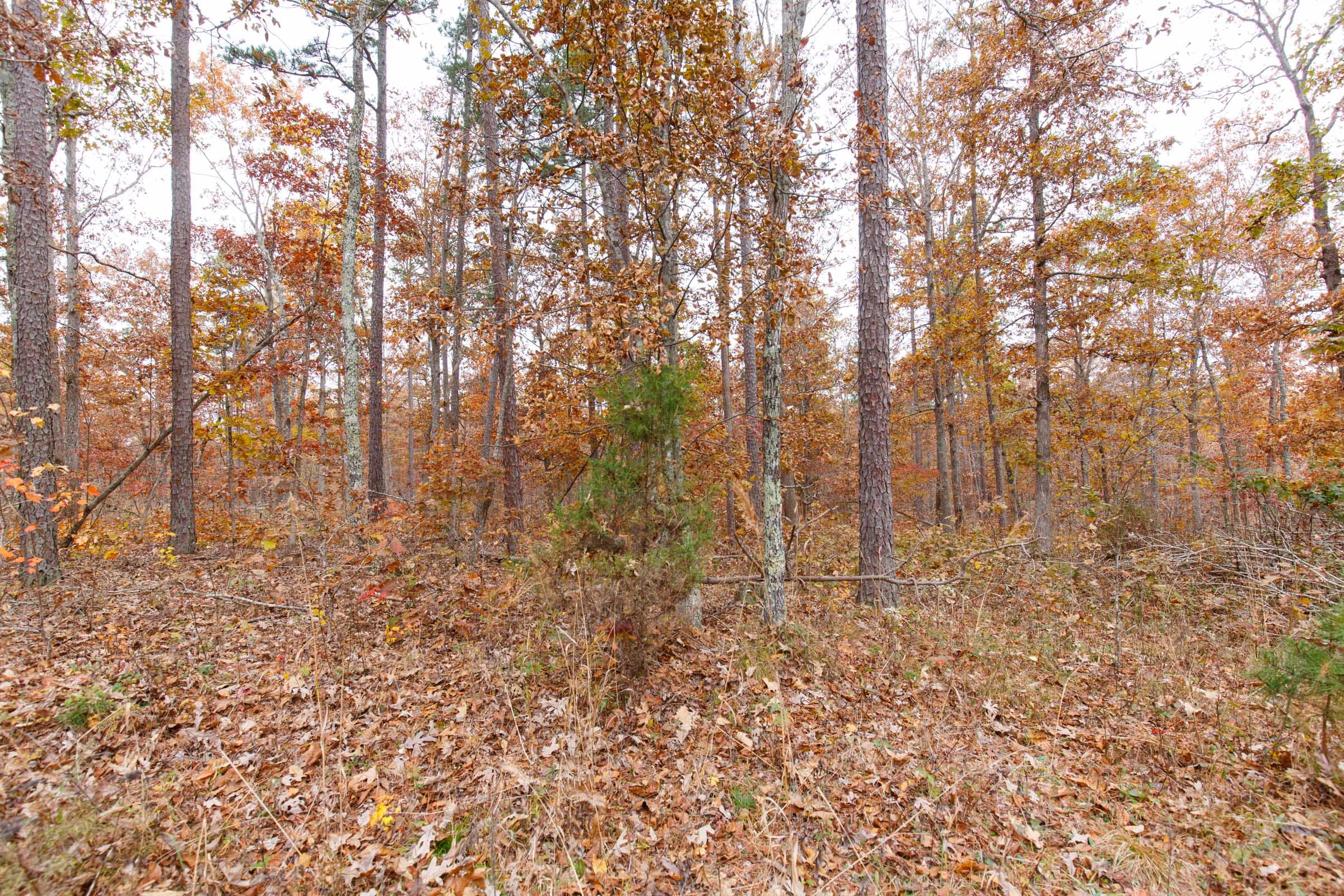 Hawkcrest Tract 52 photo 4