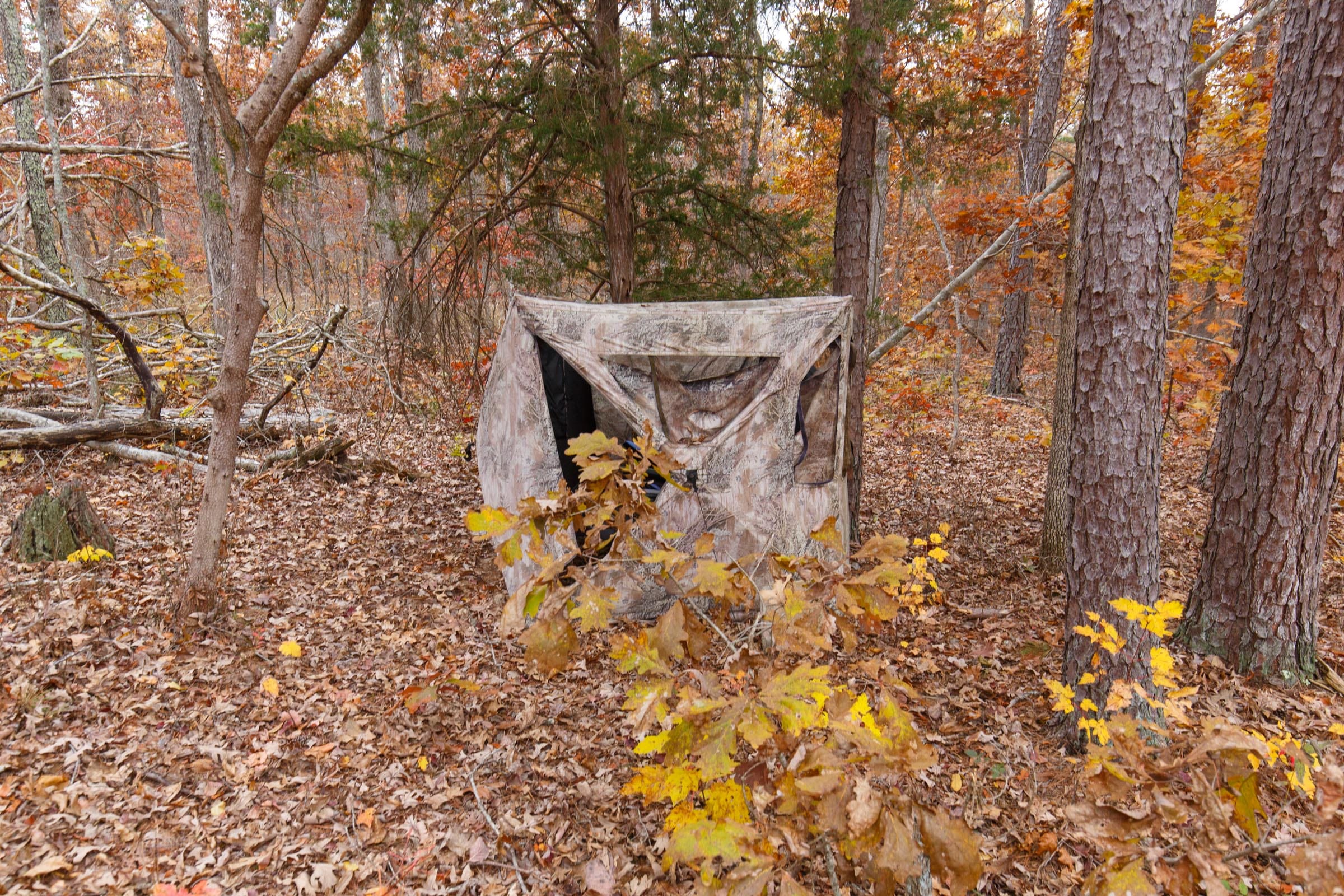 Hawkcrest Tract 52 photo 8