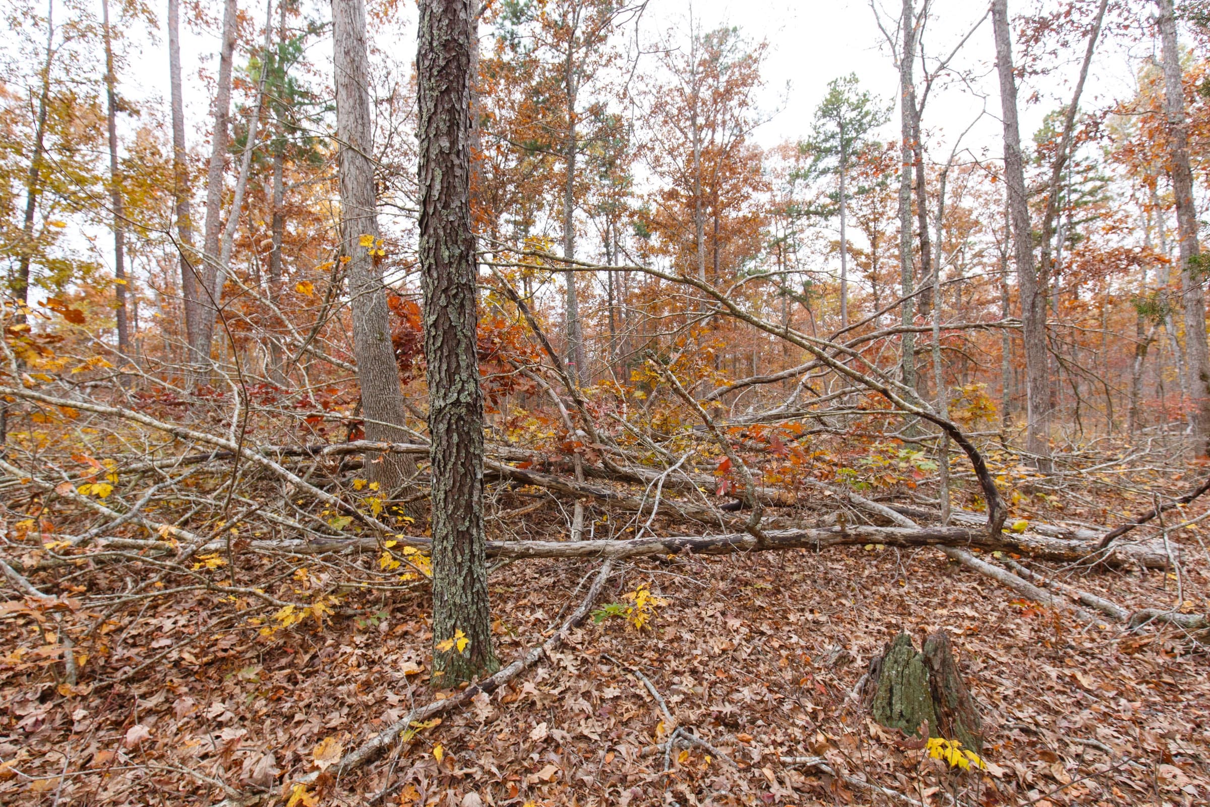 Hawkcrest Tract 52 photo 7