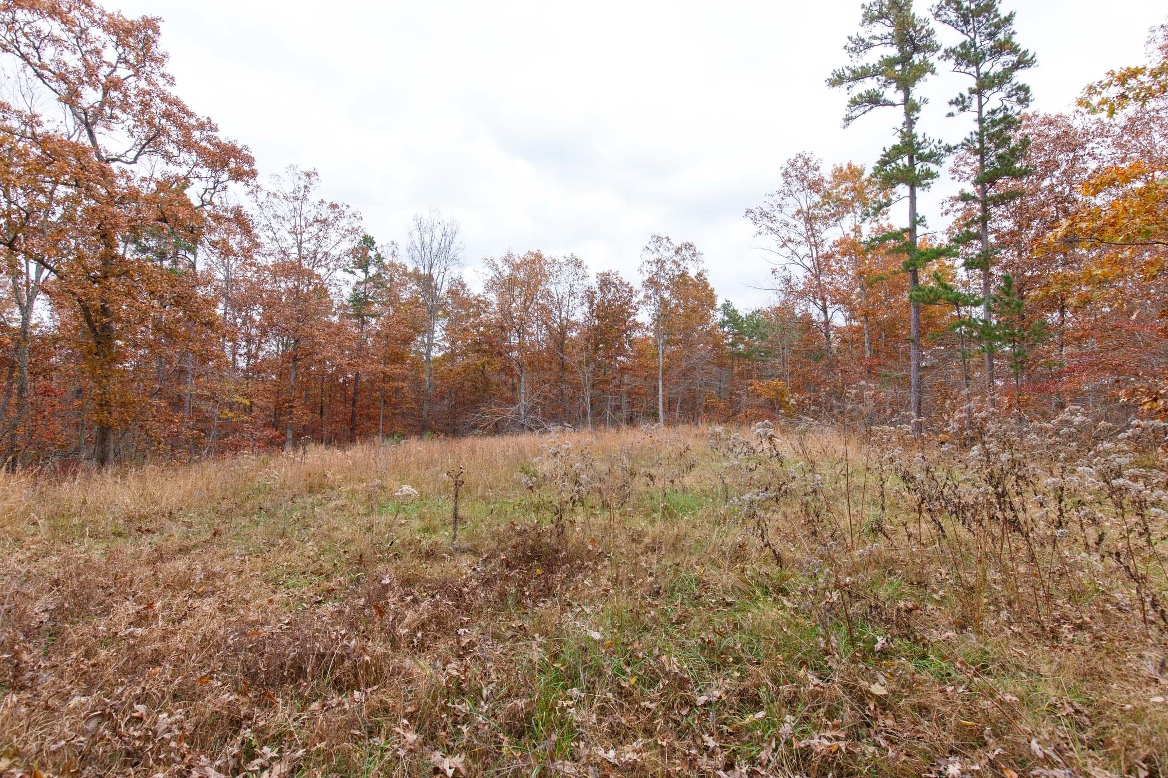 Hawkcrest Tract 52 photo 5