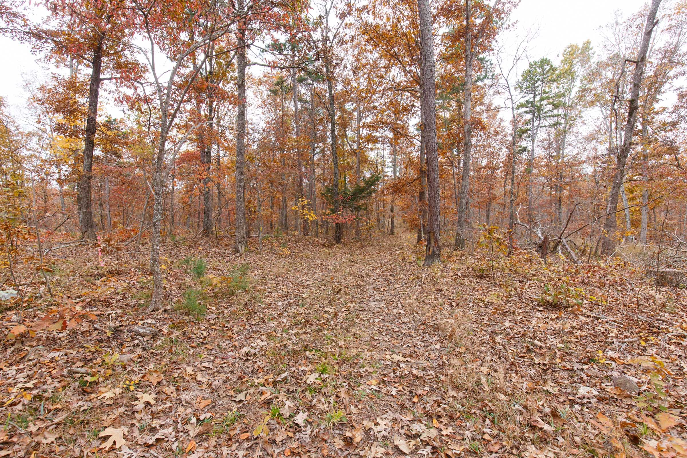 Hawkcrest Tract 52 photo 1