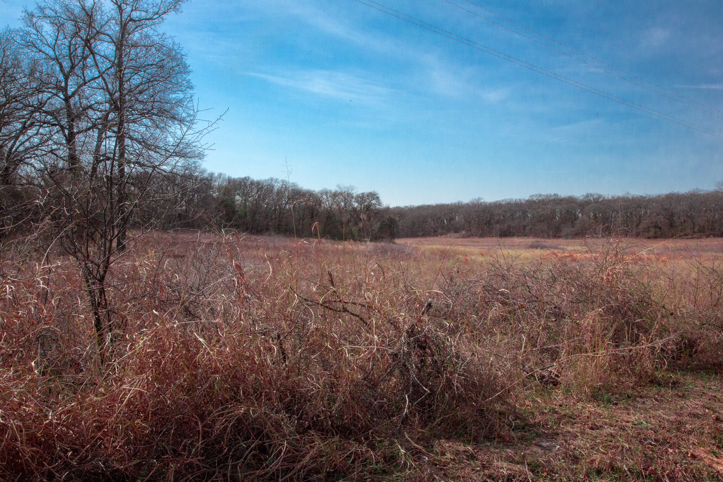 Legacy Ranch Tract 13 photo 8