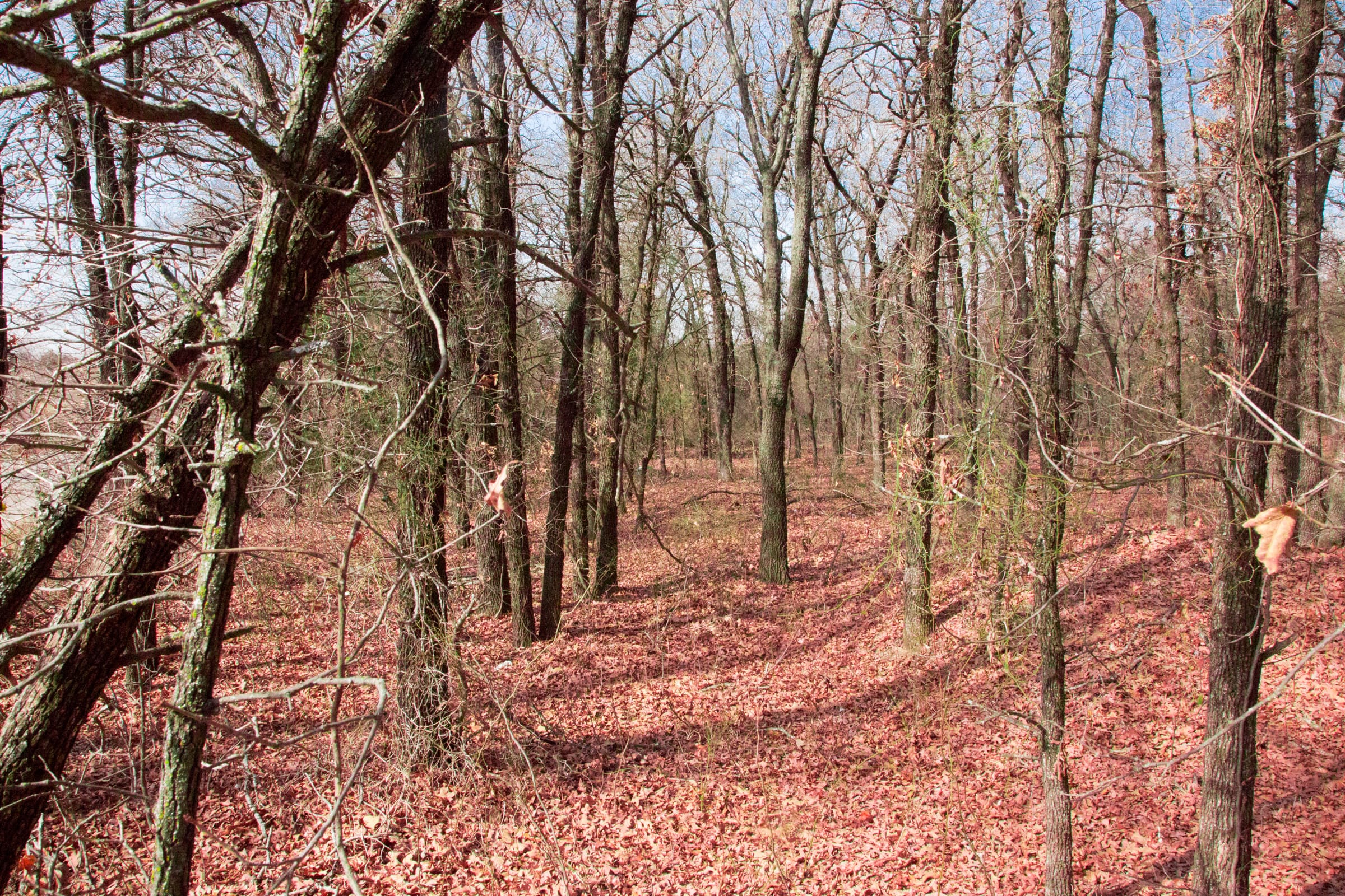 Legacy Ranch Tract 13 photo 10