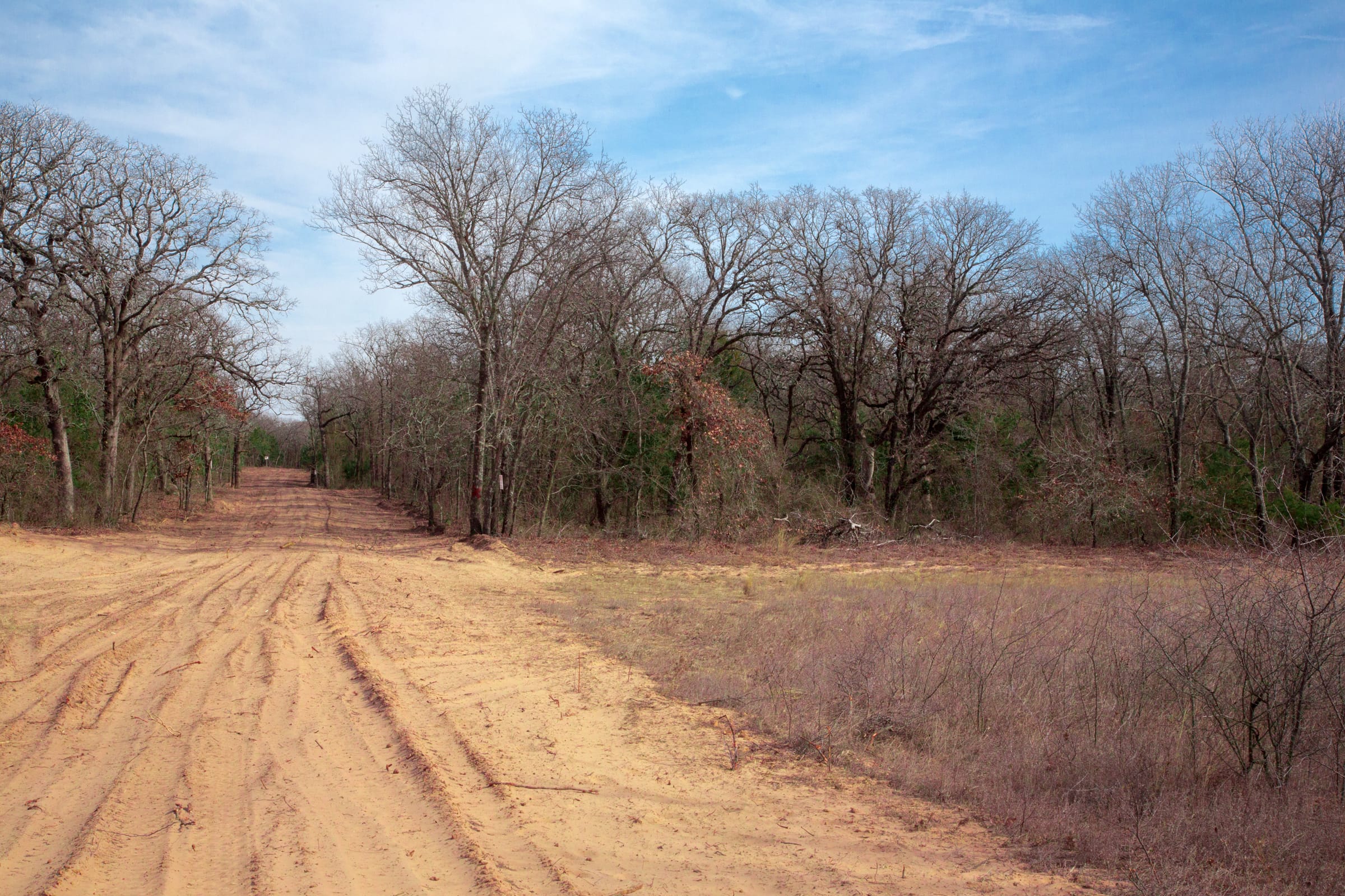 Legacy Ranch Tract 13 photo 12