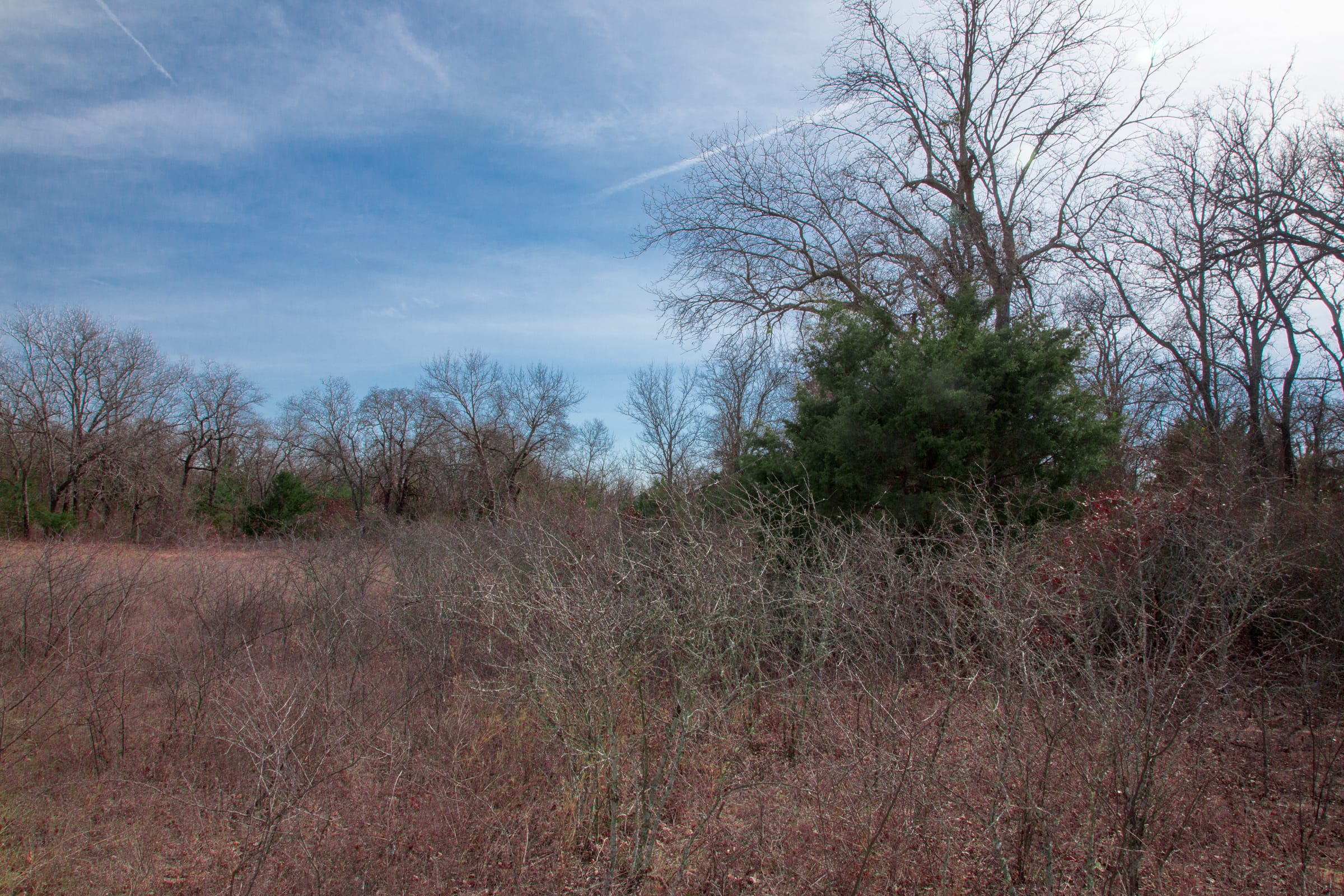 Legacy Ranch Tract 13 photo 13