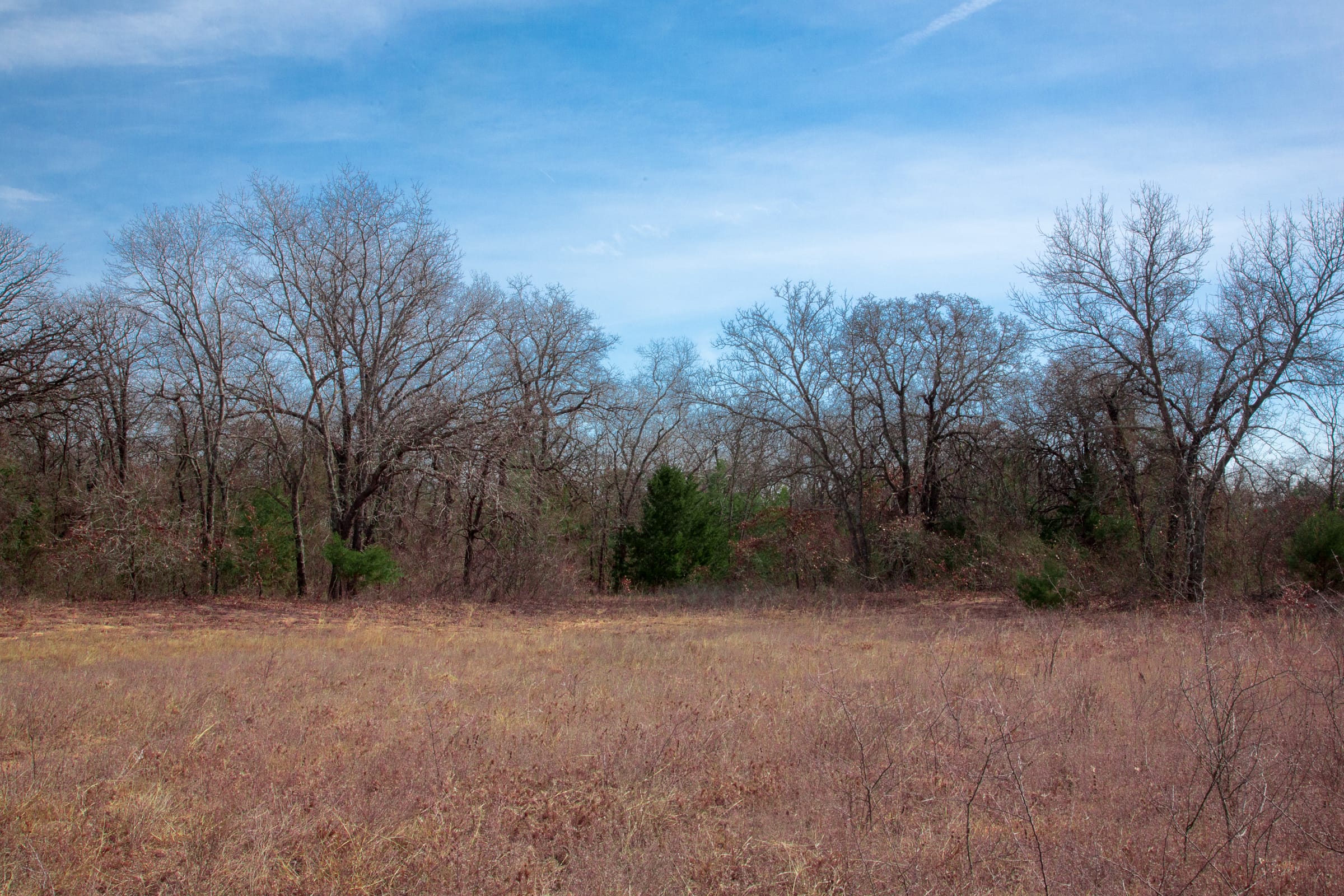 Legacy Ranch Tract 13 photo 14