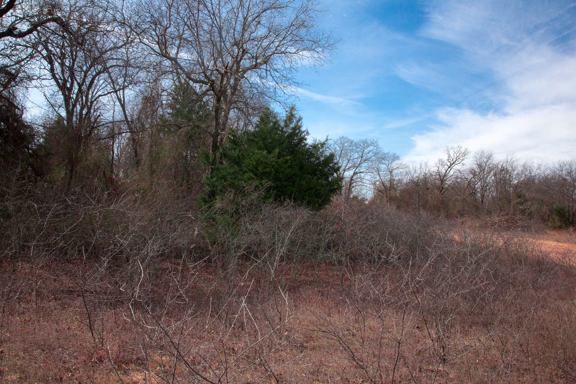 Legacy Ranch Tract 13 photo 15