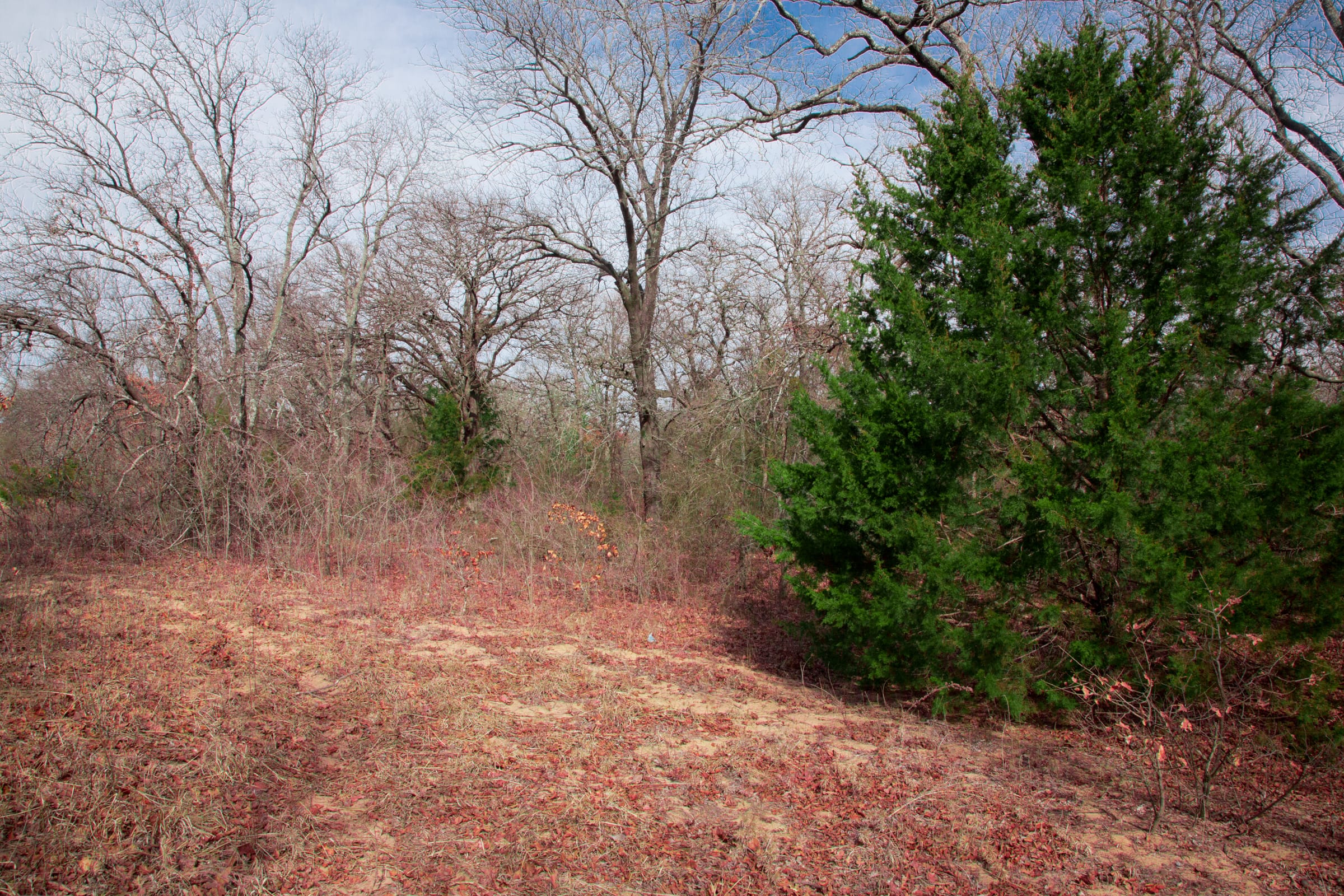 Legacy Ranch Tract 13 photo 17