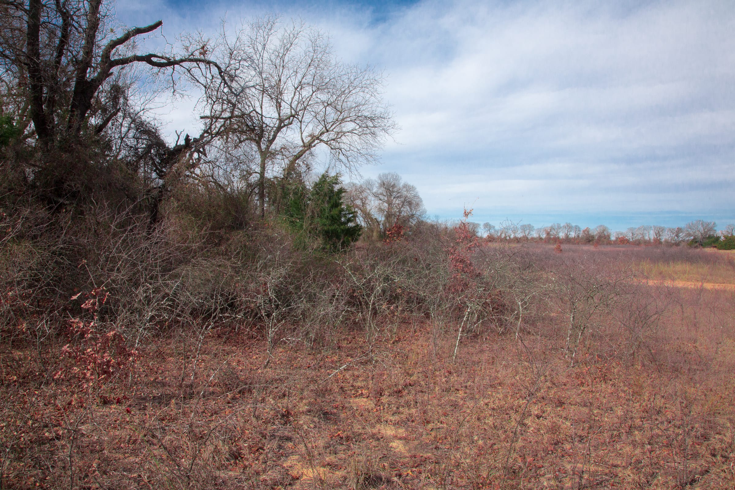 Legacy Ranch Tract 13 photo 18