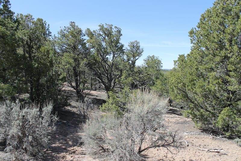 Sangre De Cristo Ranches Tract 5269 photo 2