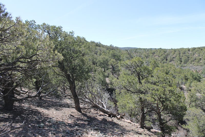 Sangre De Cristo Ranches Tract 5269 photo 5
