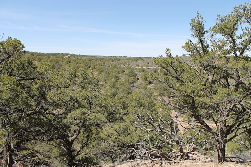 Sangre De Cristo Ranches Tract 5269 photo 6