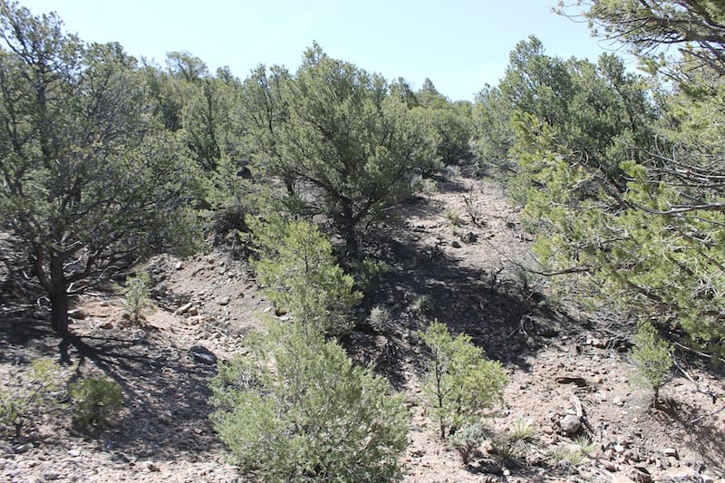 Sangre De Cristo Ranches Tract 5269 photo 8