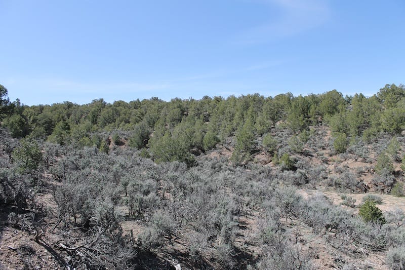Sangre De Cristo Ranches Tract 5269 photo 11