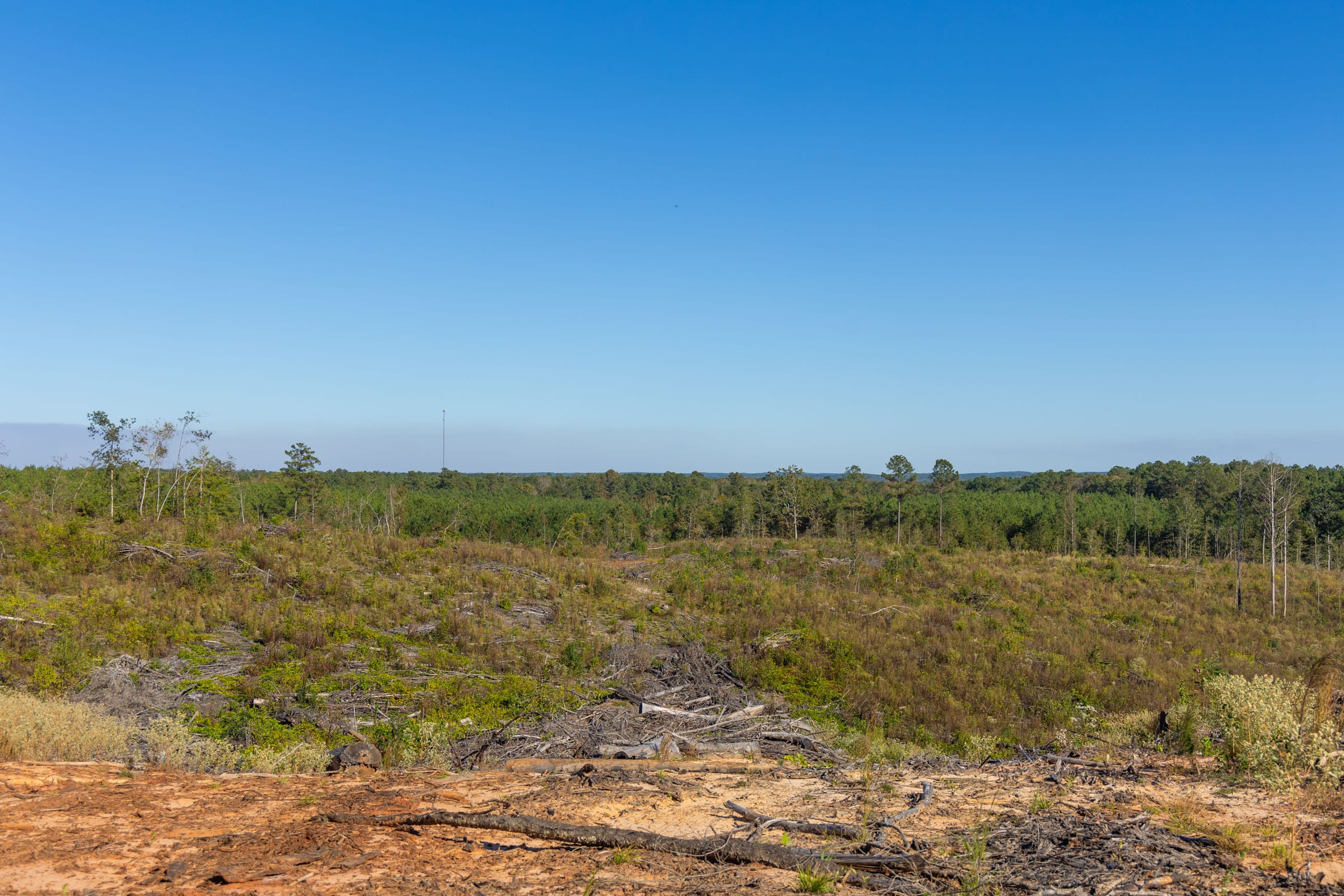 Meyer’s Ridge Tract 40 photo 14